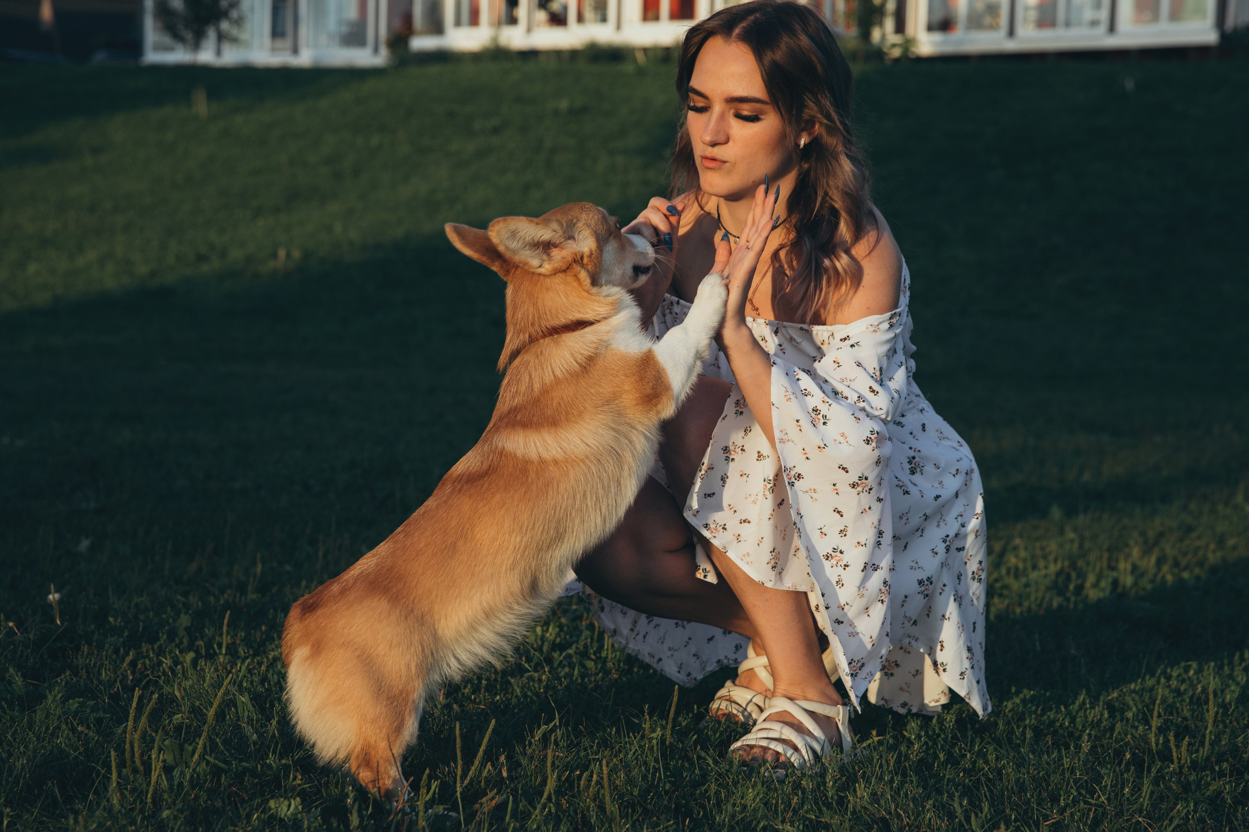 4 лапы, 2 пары ног и одно сердечко на троих ❤. Фотограф Анастасия Романова Рязань