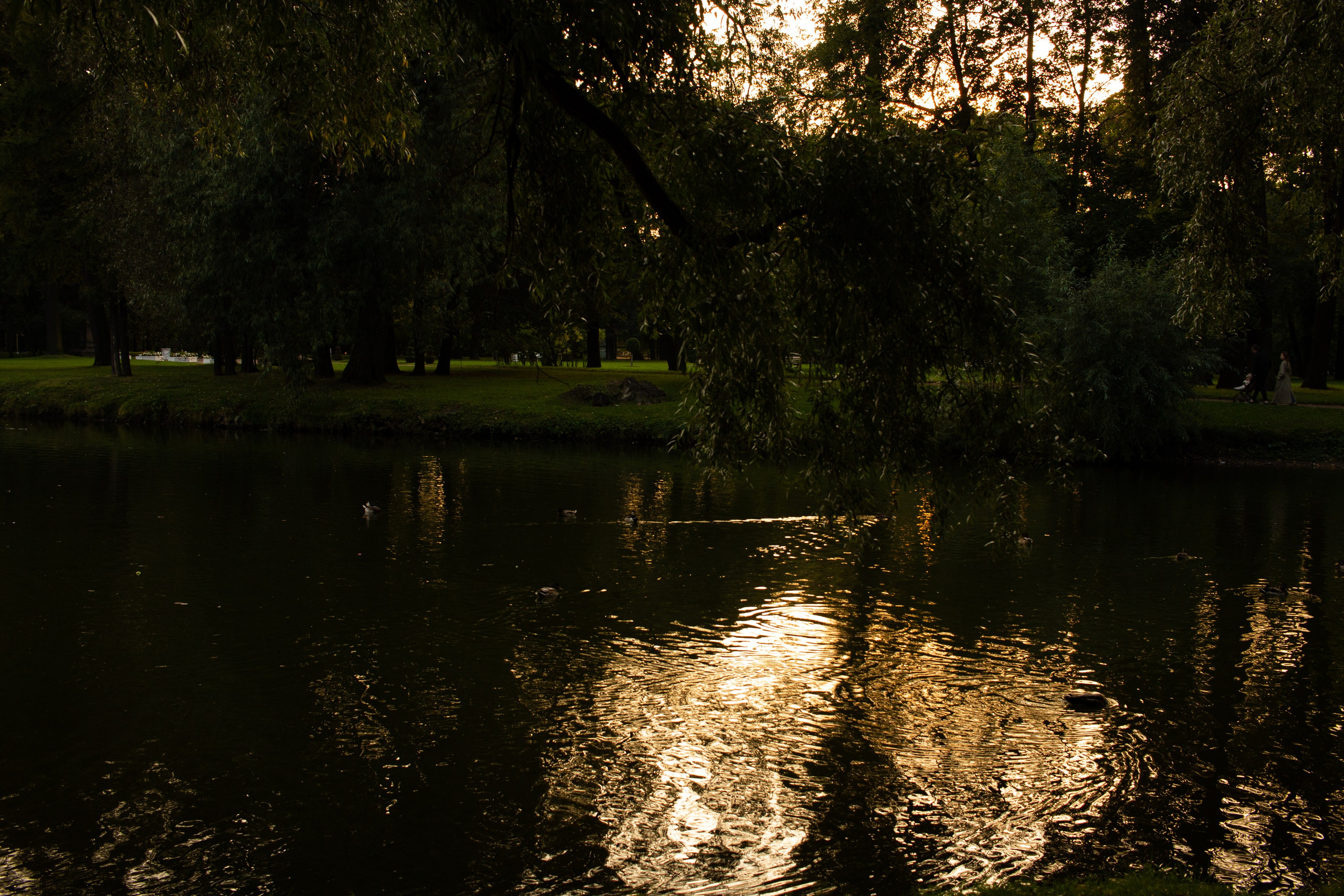 Осень. Портретный фотограф DanilNabody