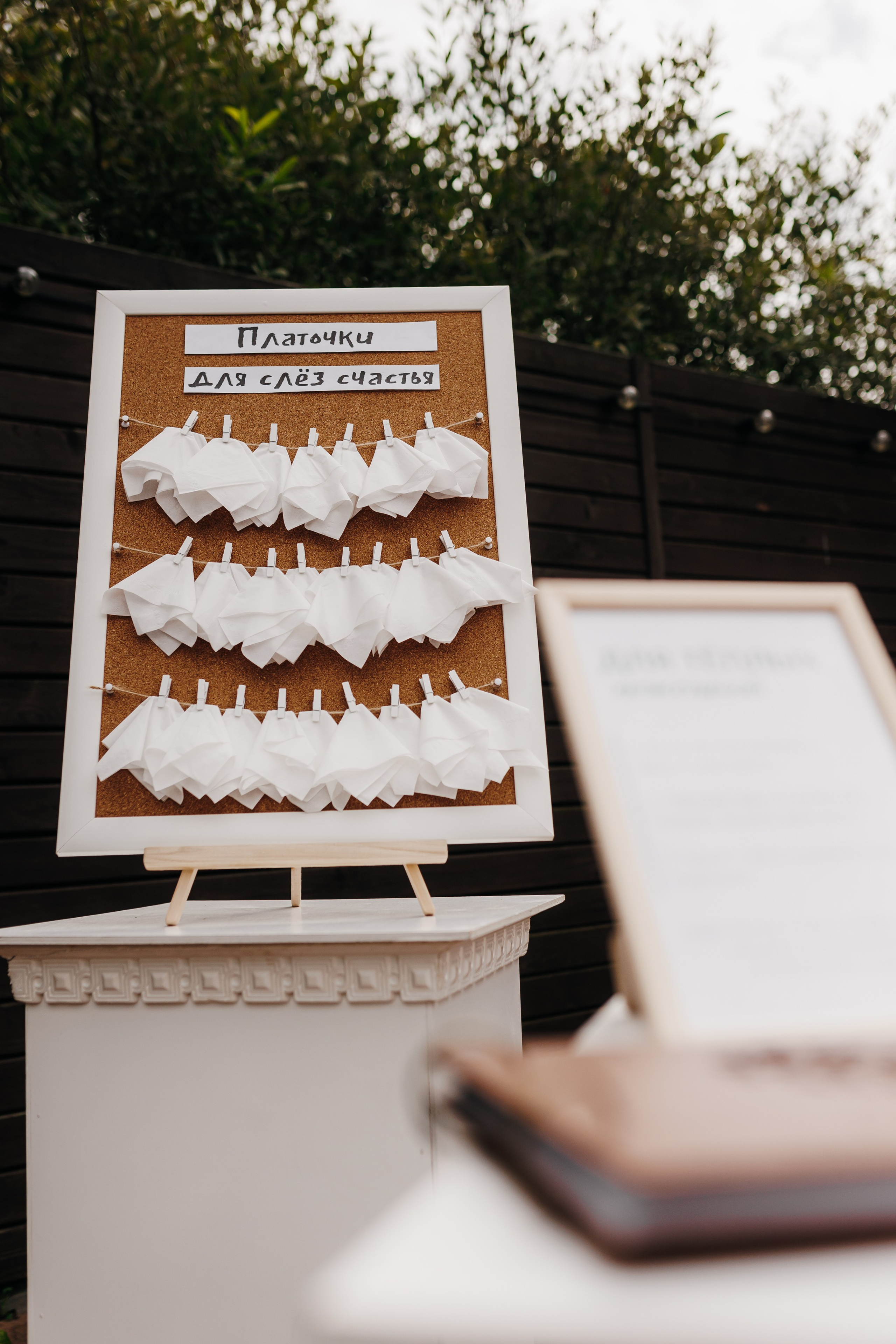 Денис и Дарья. Свадебный и семейный фотограф Витебск, Минск, Андрей Павлов