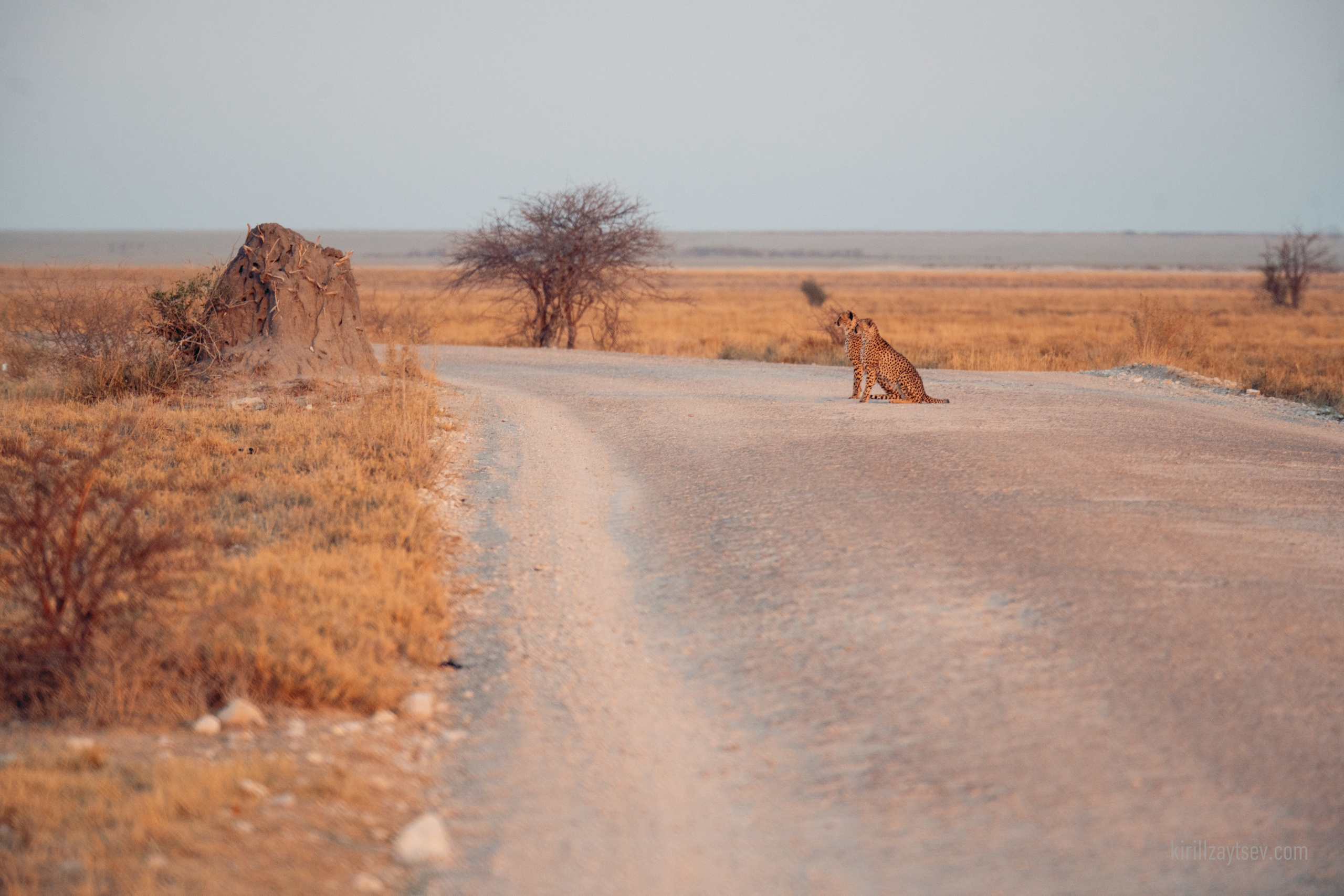 Жизнь. Профессиональный фотограф Кирилл Зайцев