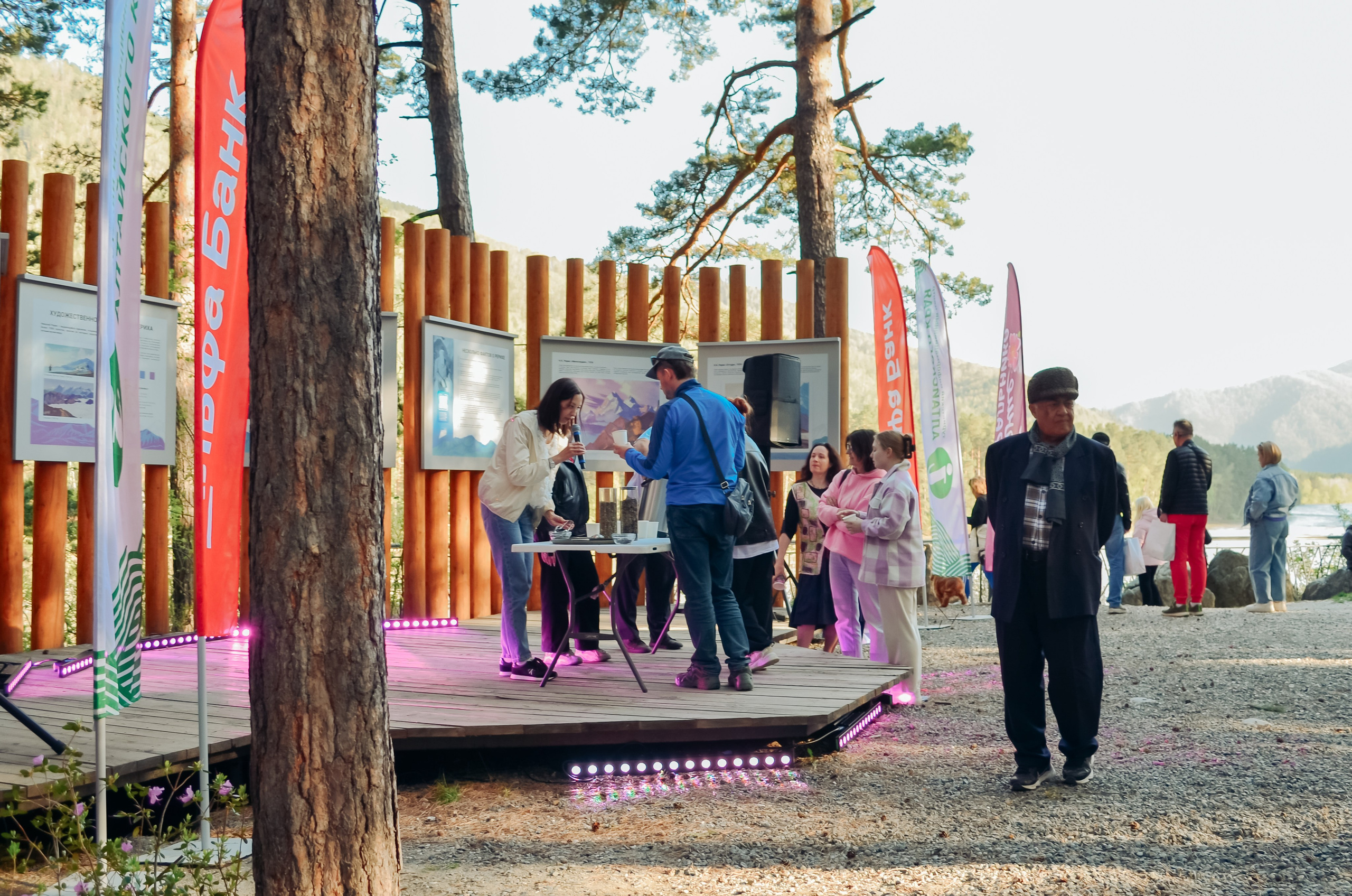 Фестиваль «Цветение Маральника на Алтае 2025». Фоторепортаж. Денисова Аля — фотограф для парных съемок и индивидуальных историй в Барнауле