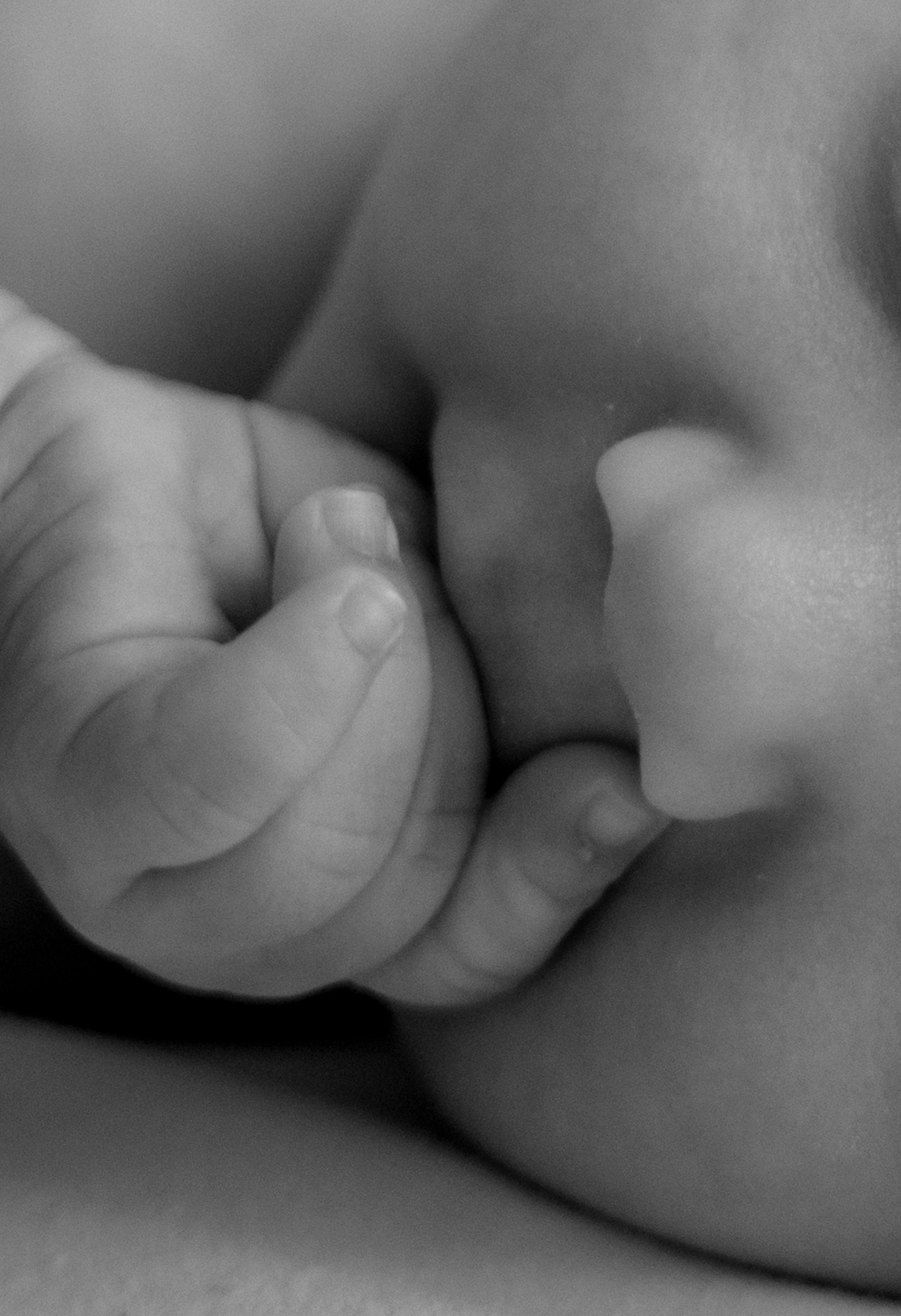 New born family photoshoot at home. Wedding and family photographer