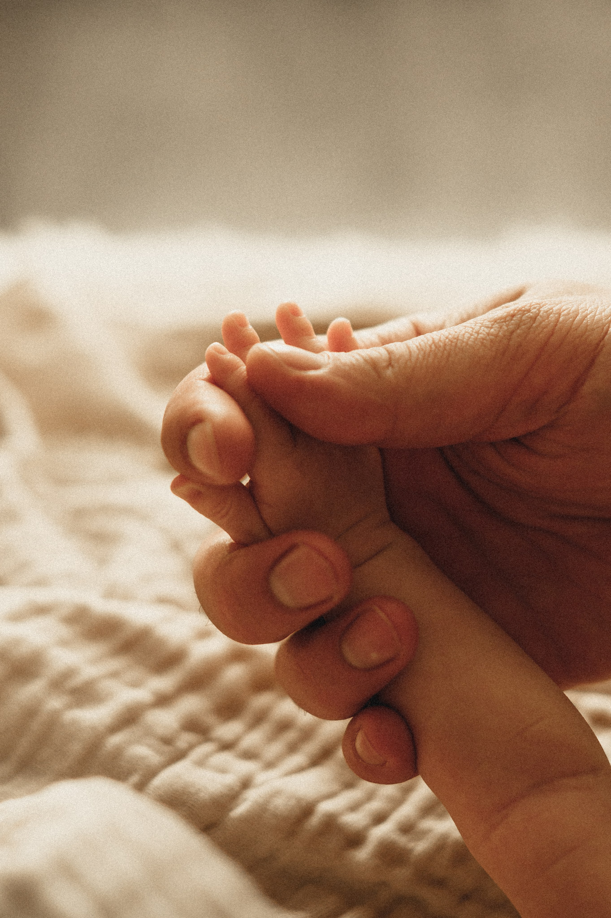 Первый месяц. Мама, папа и малыш. Семейный фотограф в г. Ставрополь, Сорокина Мария