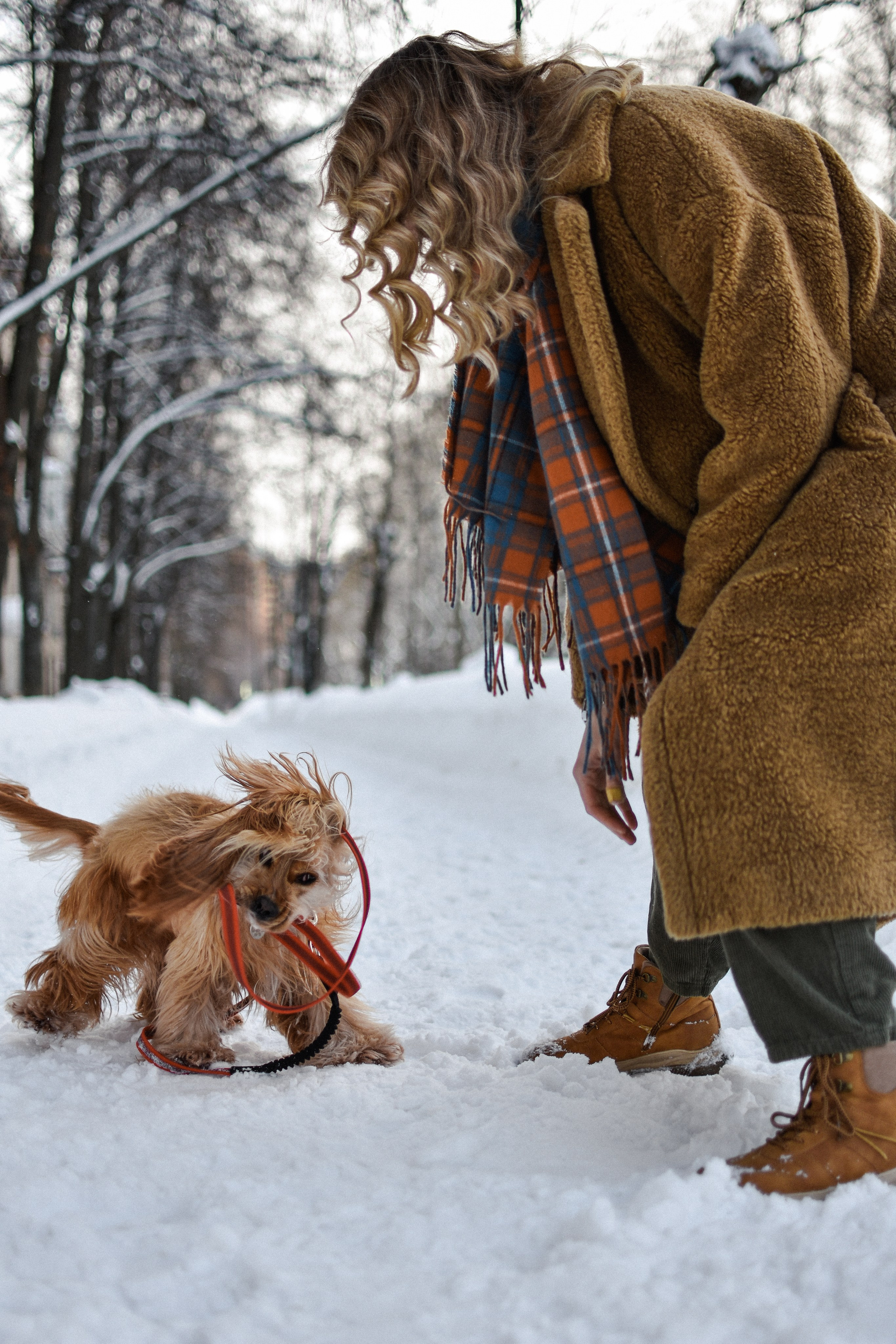 Мира и Даша. Фотограф-анималист Ксения Шевцова|Москва