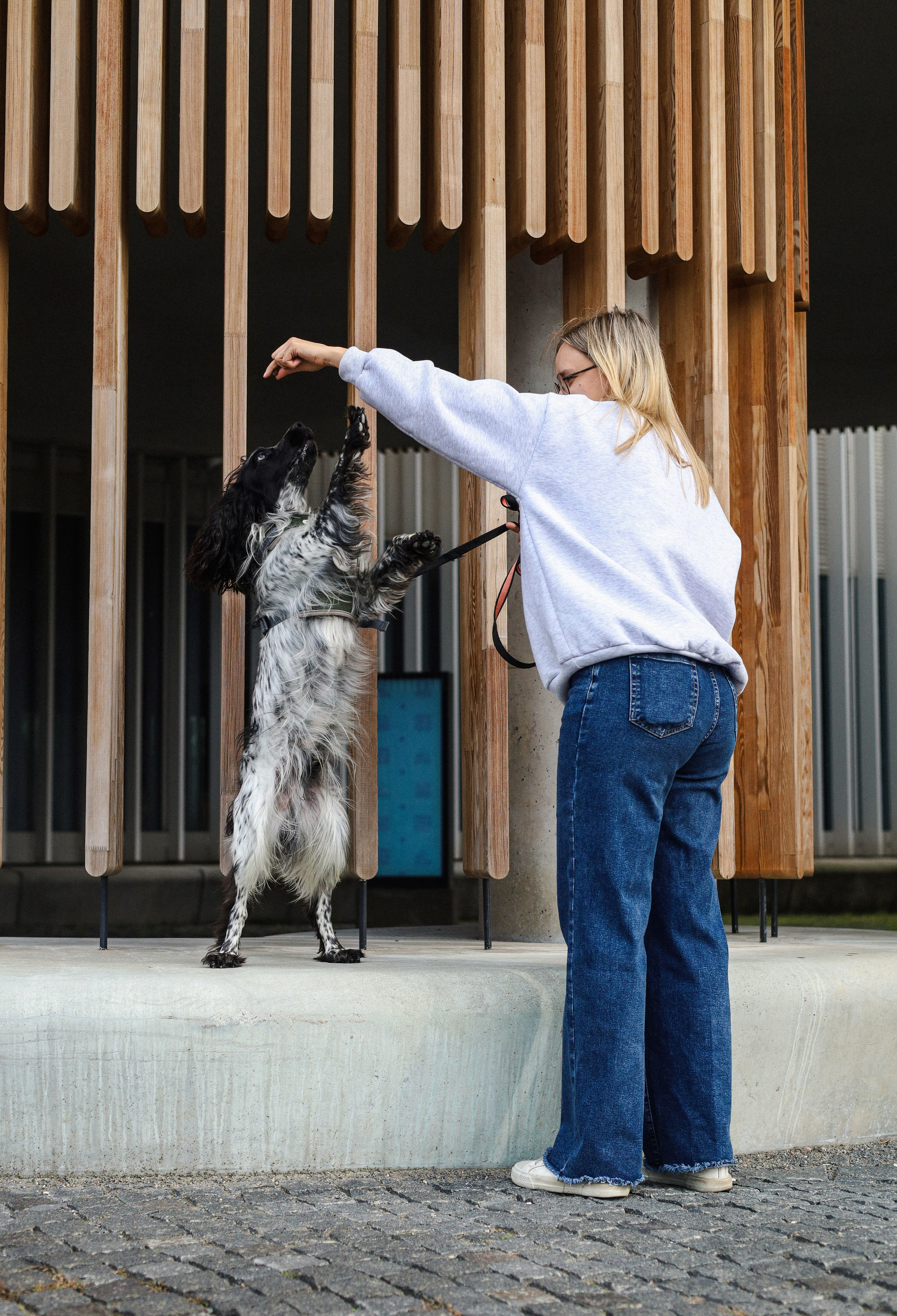 Купер и его семья. Фотограф-анималист Ксения Шевцова|Москва