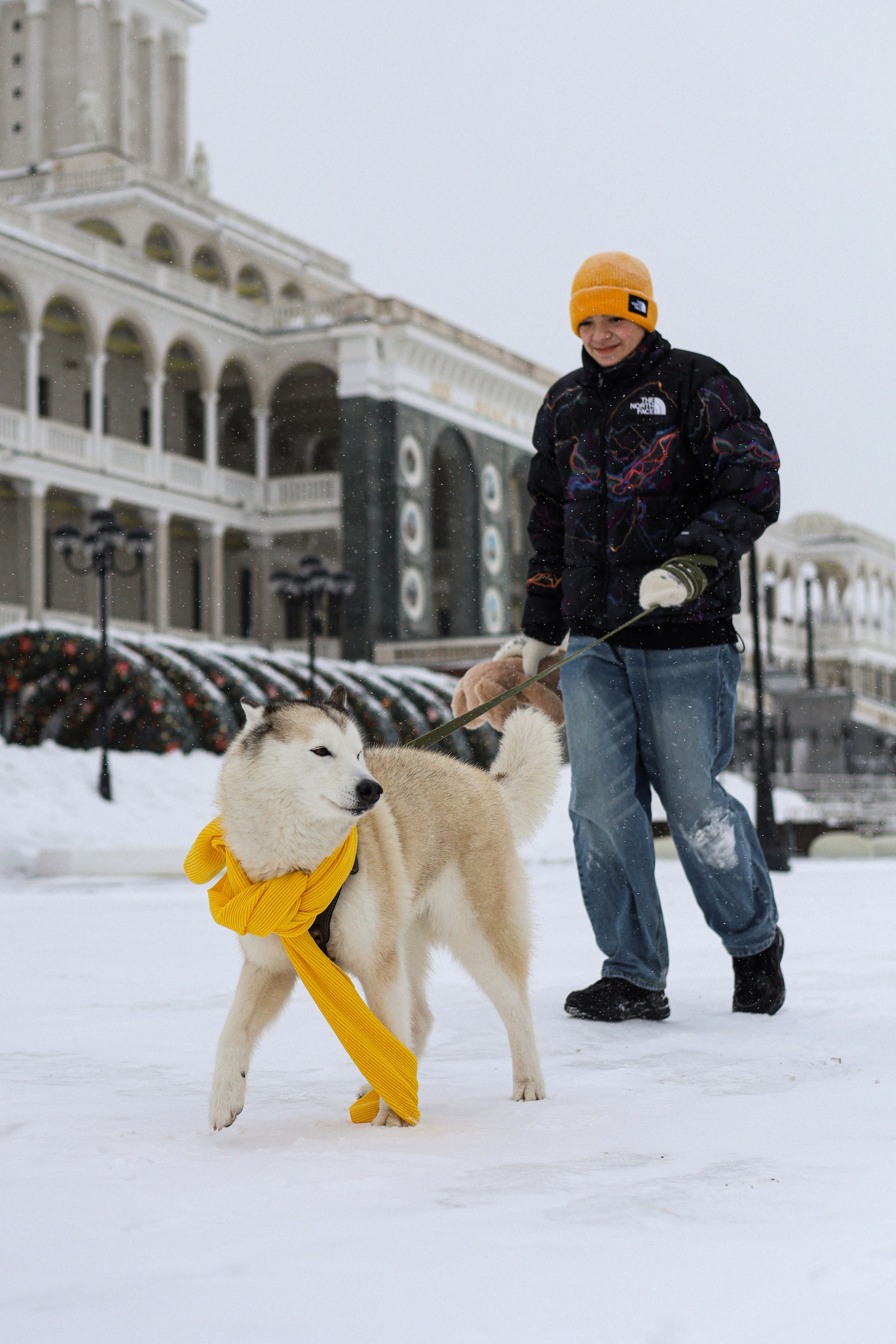 Мила, Лиза и Матвей. Фотограф-анималист Ксения Шевцова|Москва