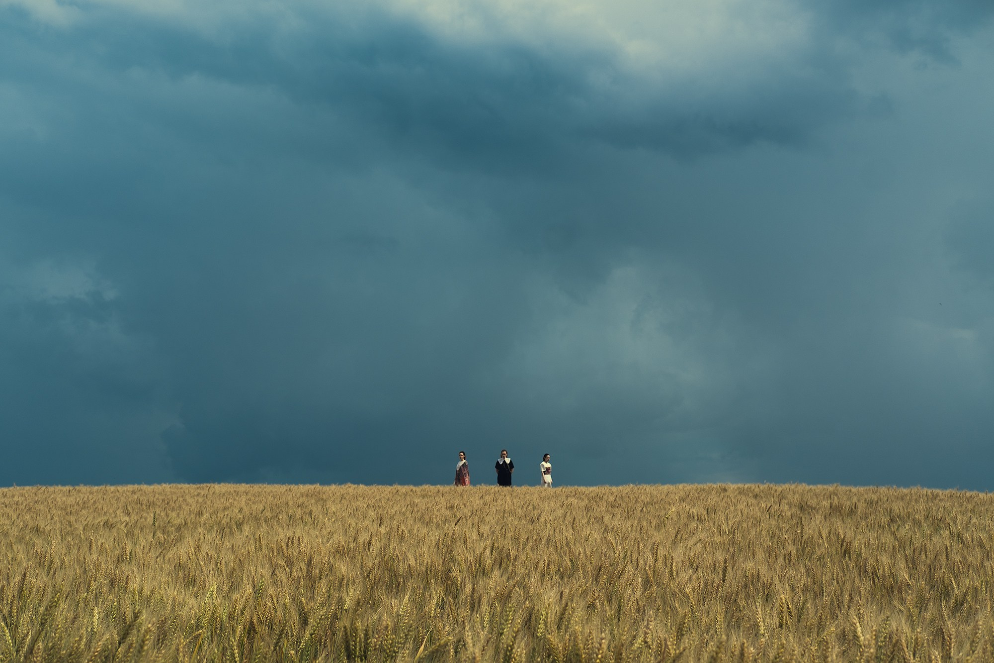 Дереза. Anya.vision