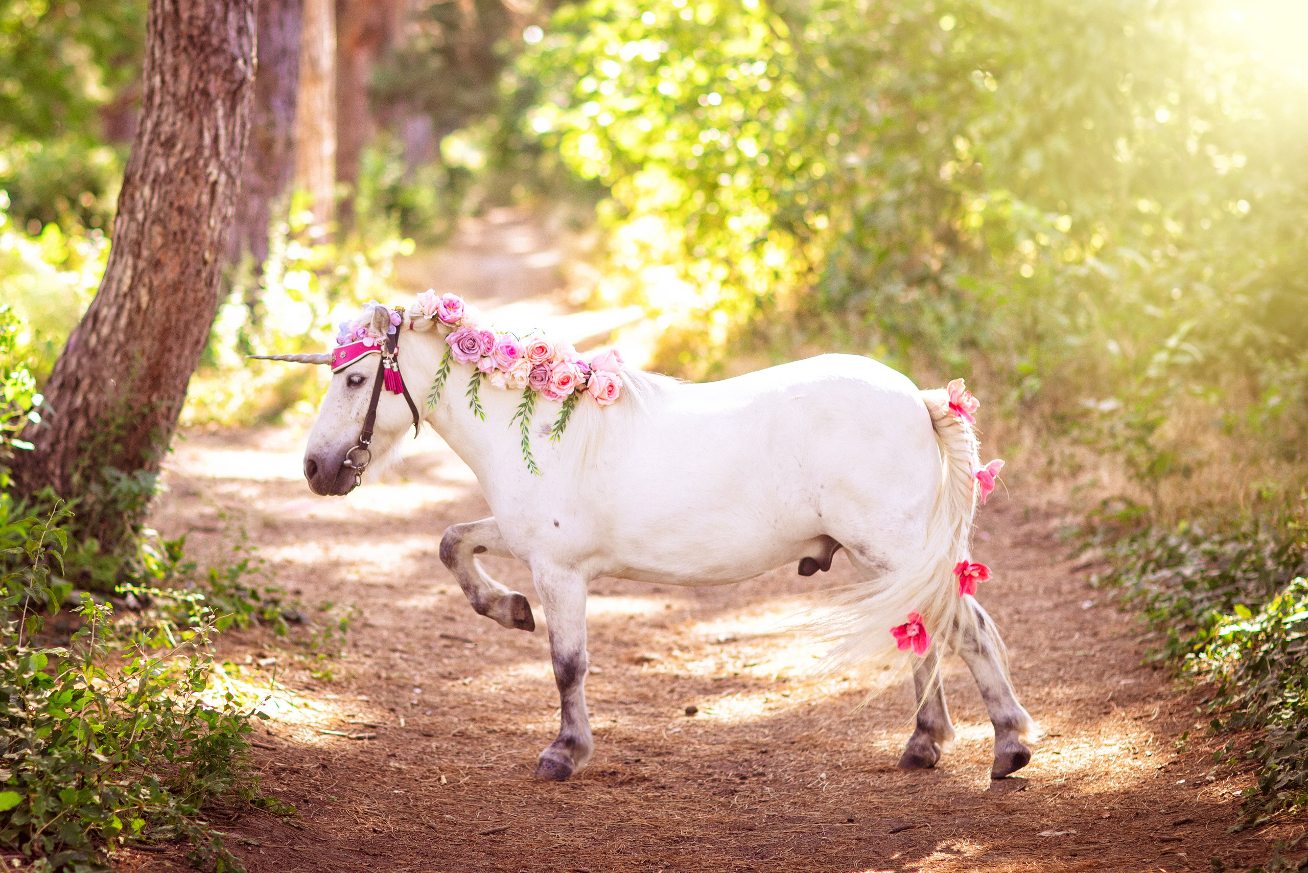 Пони Единорог. Семейный и детский фотограф в Краснодаре Анна Трашкова