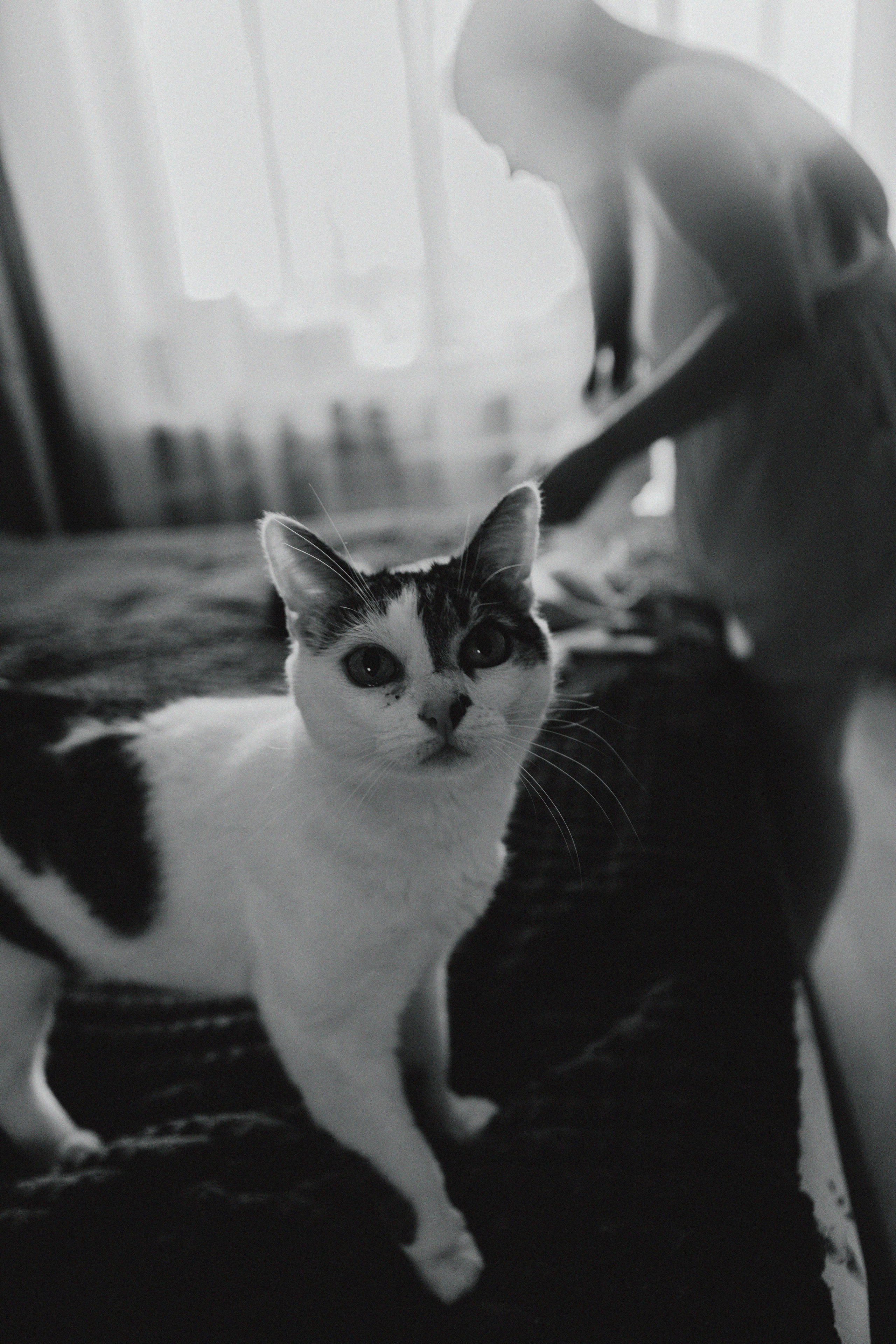 Первая фото история. Свадебный и семейный фотограф Арестенко Анастасия