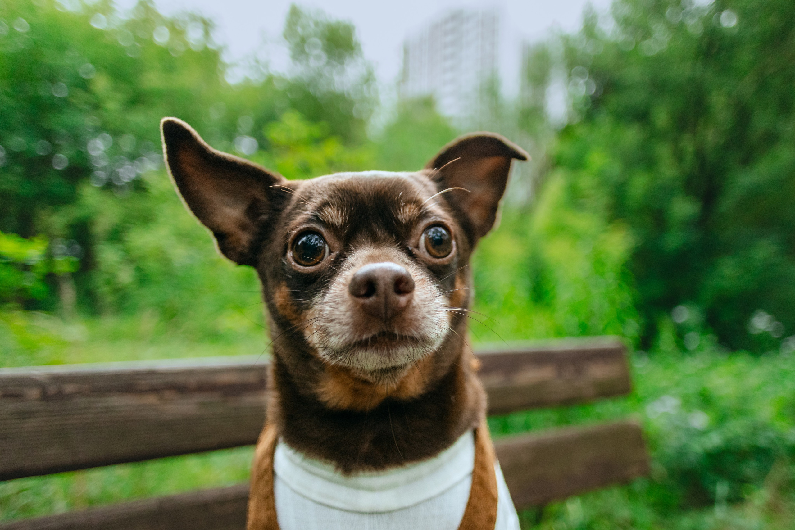 Юля и Леонид. Фотограф-анималист Татьяна Степанова