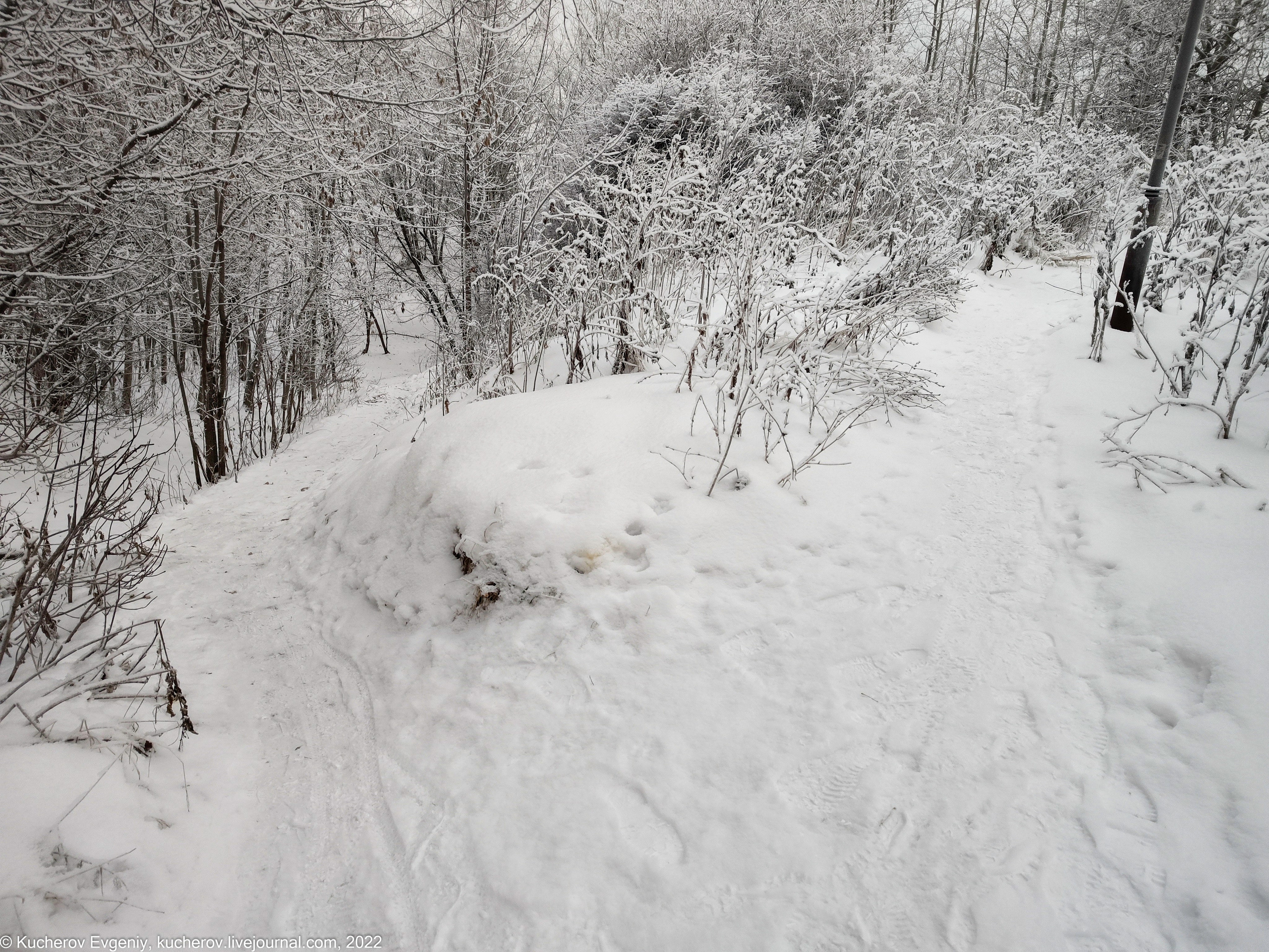Коломенское. Кучеров Евгений. Фотограф