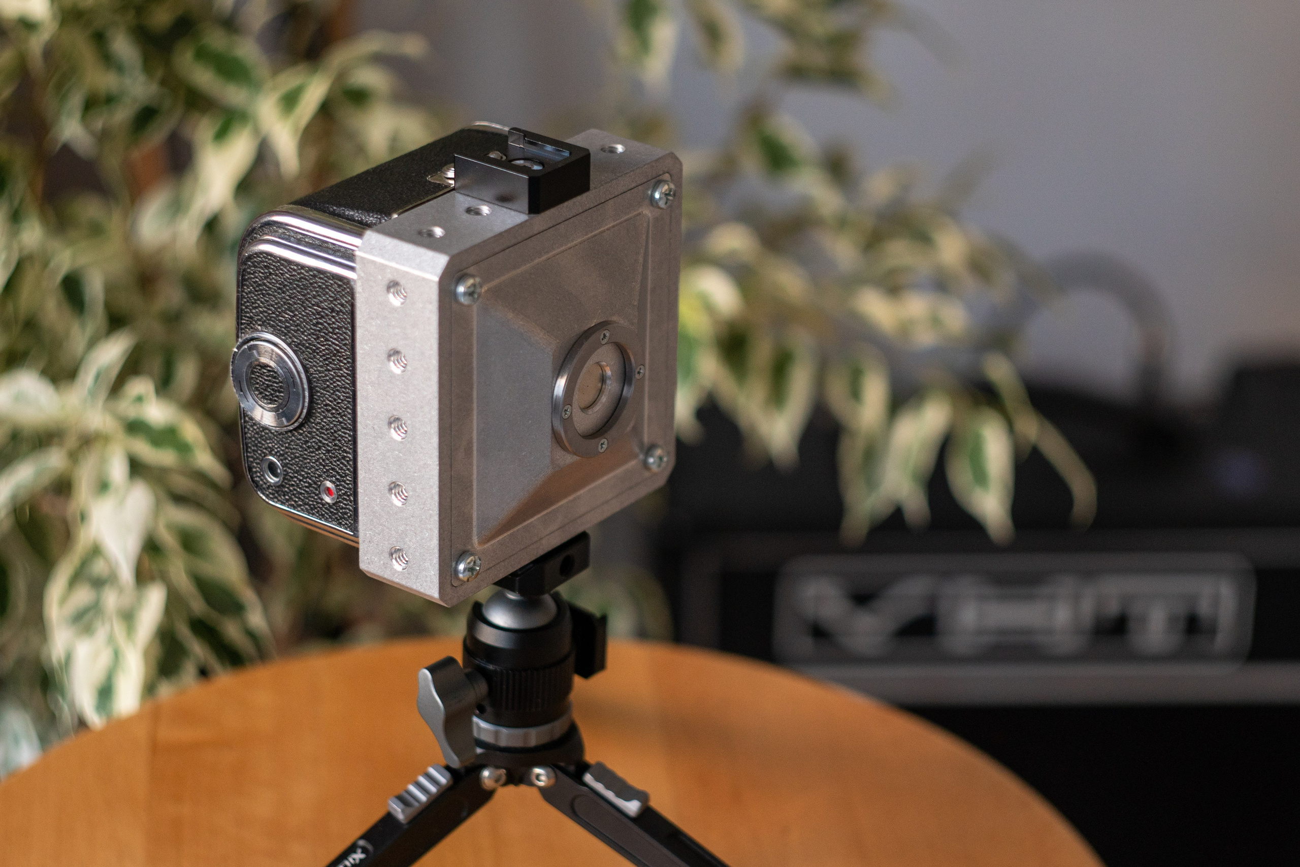 Пинхол 6×6 на основе кассеты от Киев-88