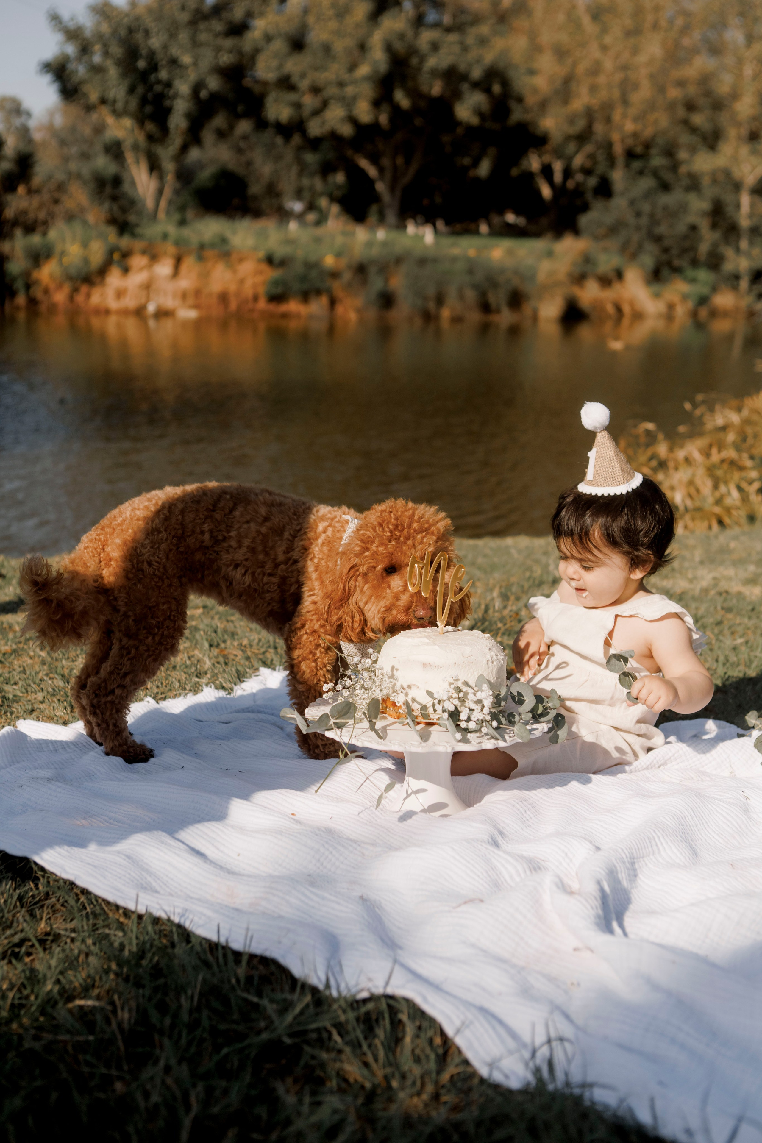 First birthday inside the park (sunrise). Главная