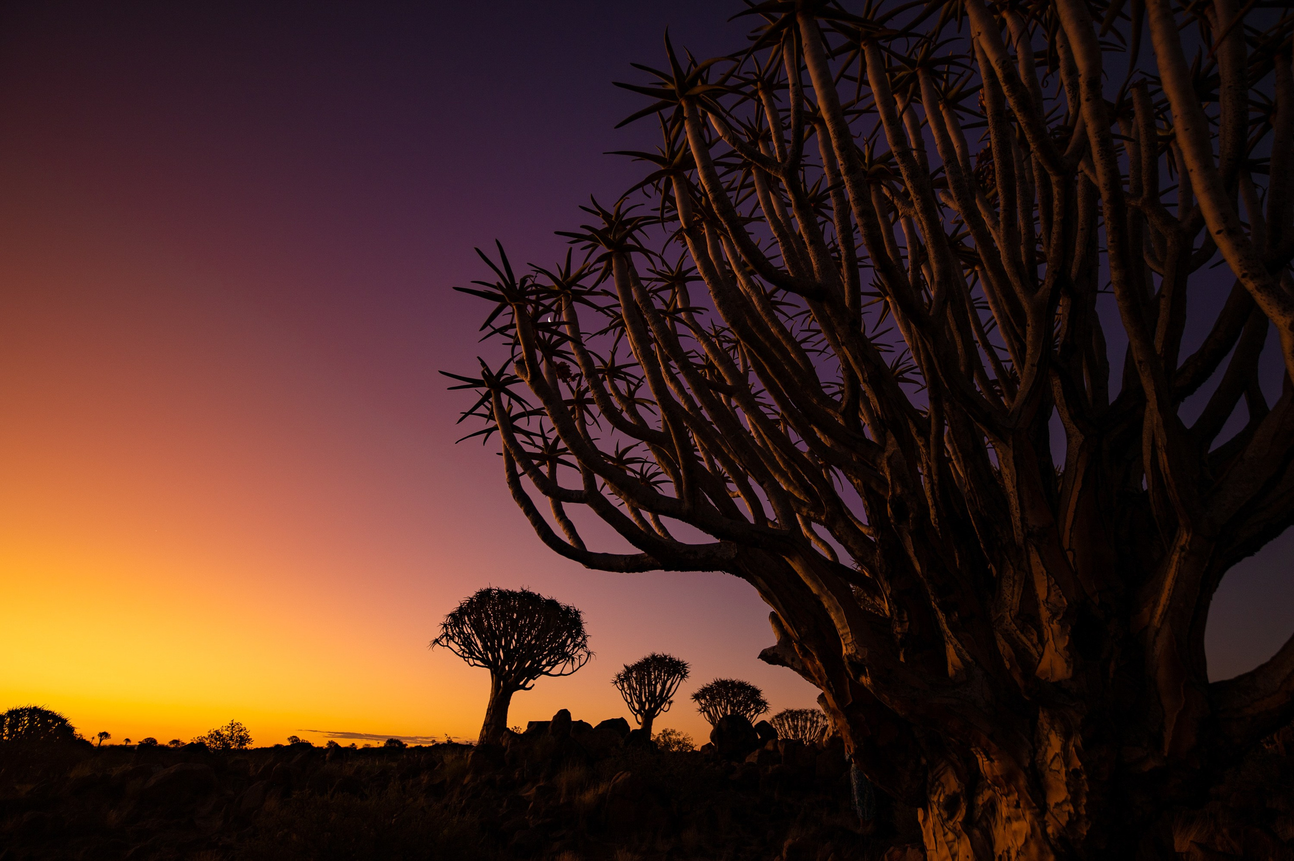 НАМИБИЯ. Роадтрип