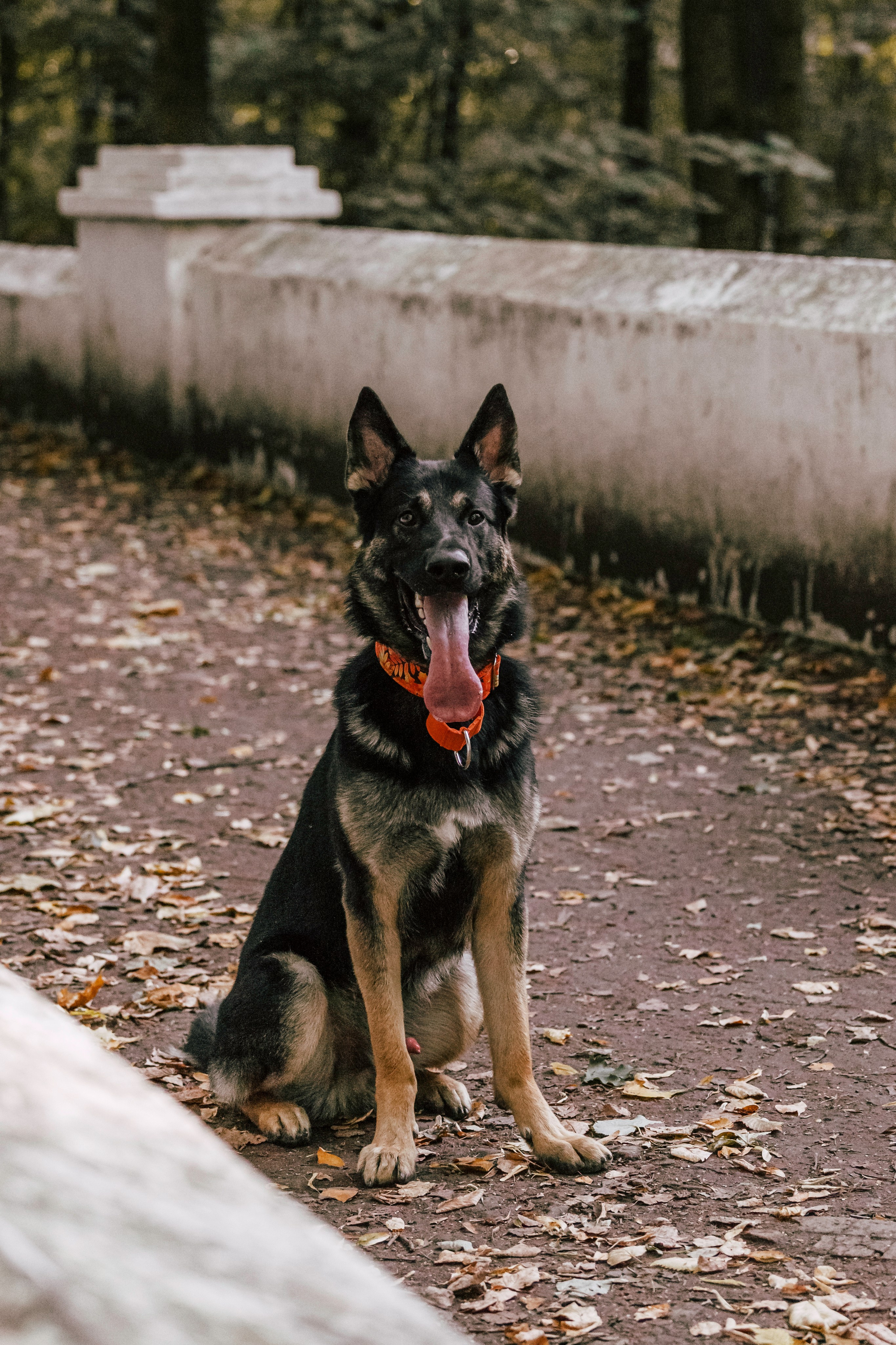 Илай. Фотограф-анималист Татьяна Степанова