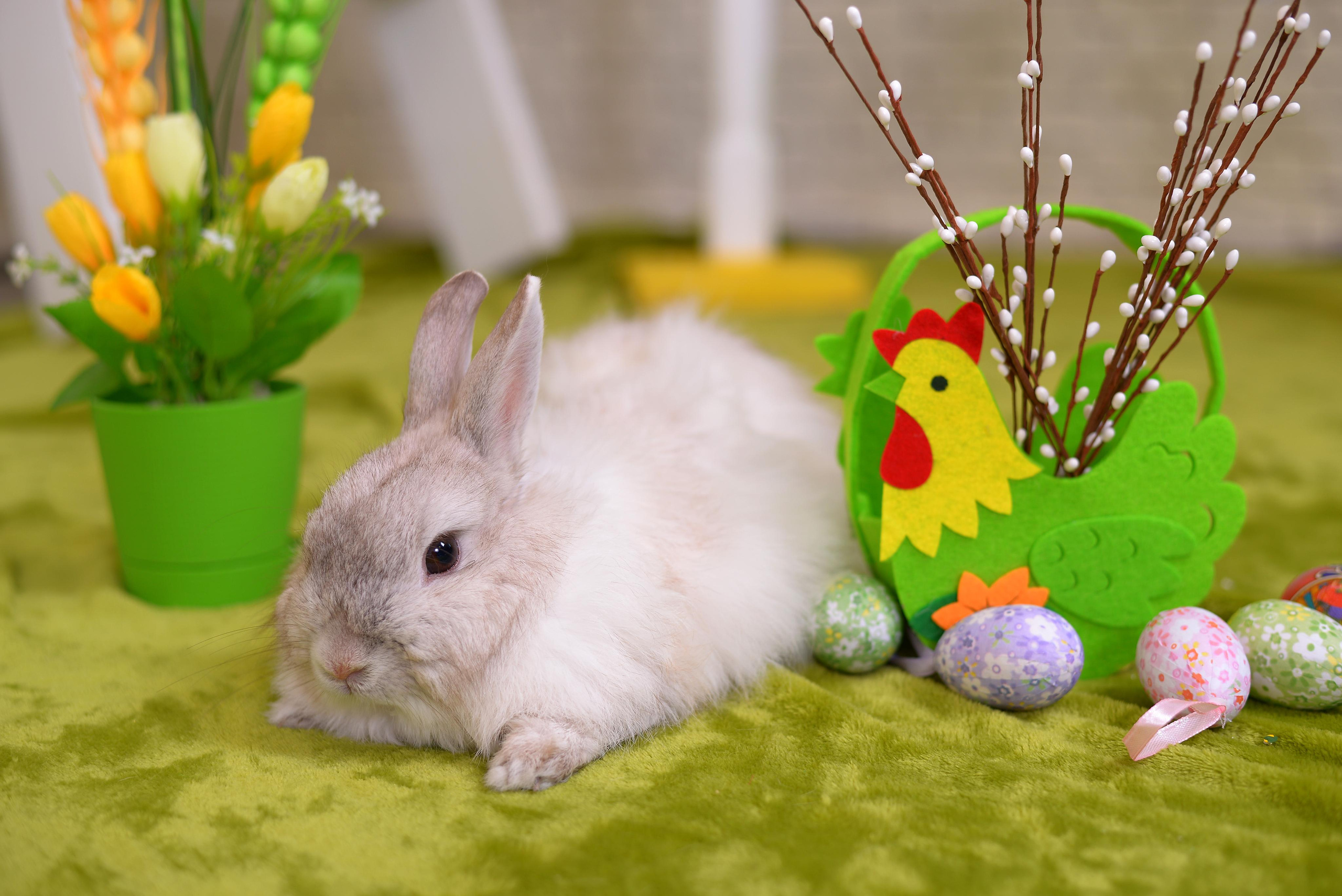 Пасхальный проект. Семейный и детский фотограф Татьяна Перевалова