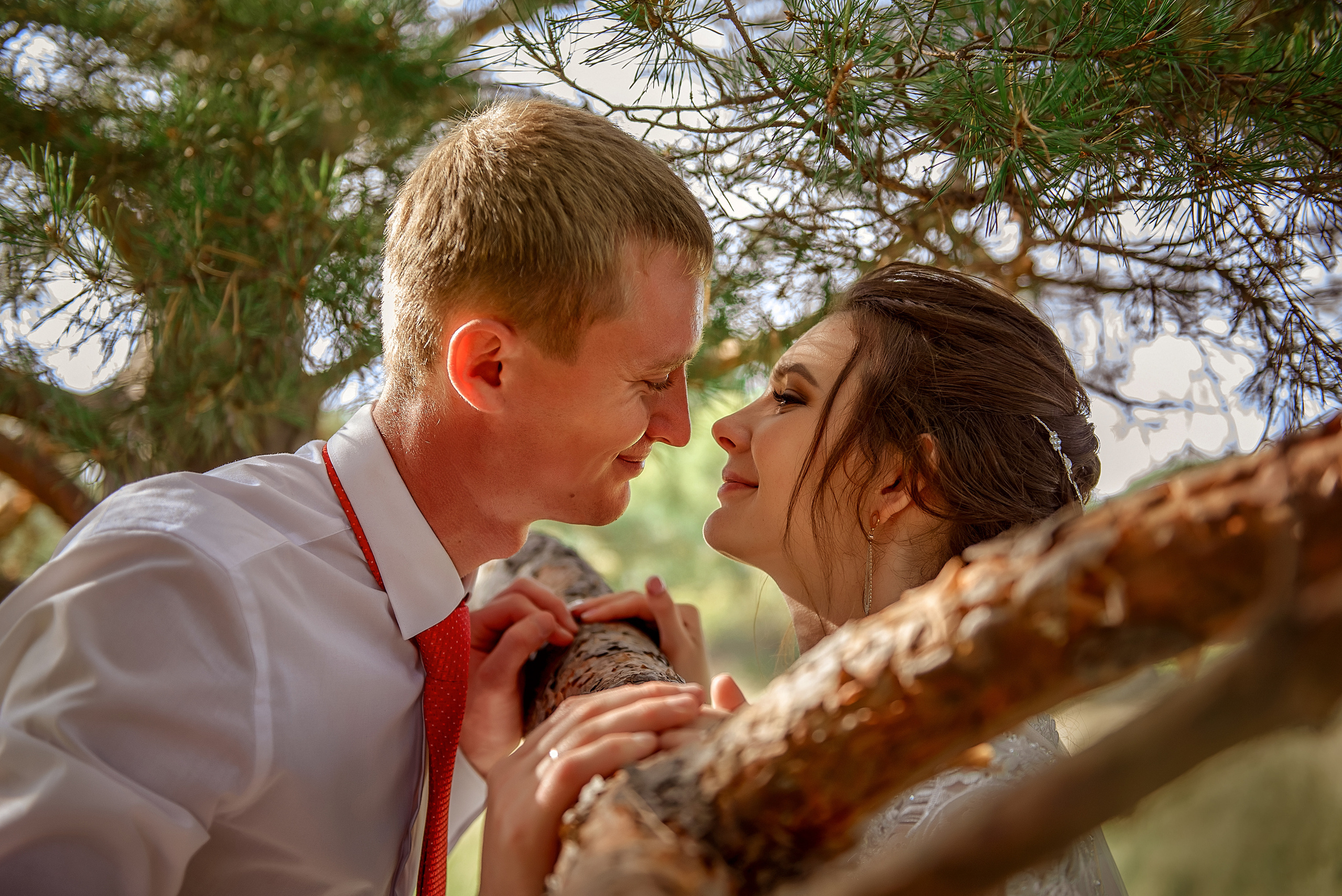 Дмитрий и Анастасия. Семейный и детский фотограф Татьяна Перевалова