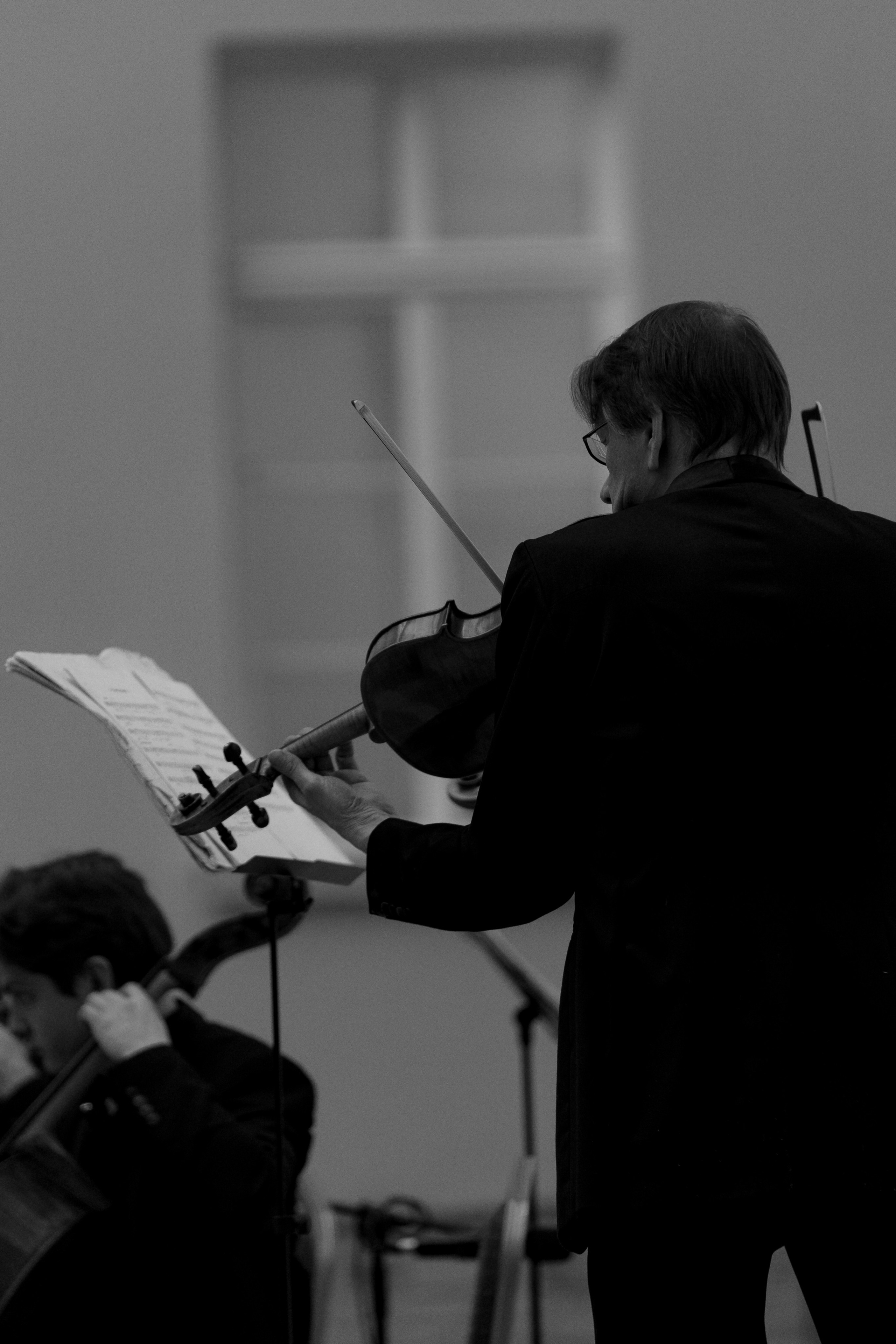 The State Hermitage Museum. Divertissement Chamber Orchestra. Фотограф Ирина Соколенко Санкт-Петербург