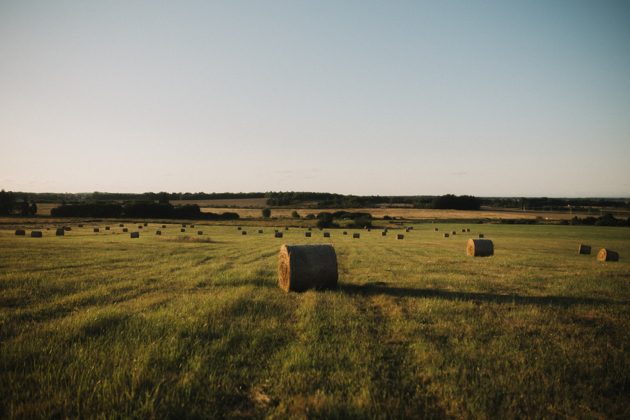Kseniya. Свадебный и портретный фотограф в Калининграде и Москве Марк Юдинцев