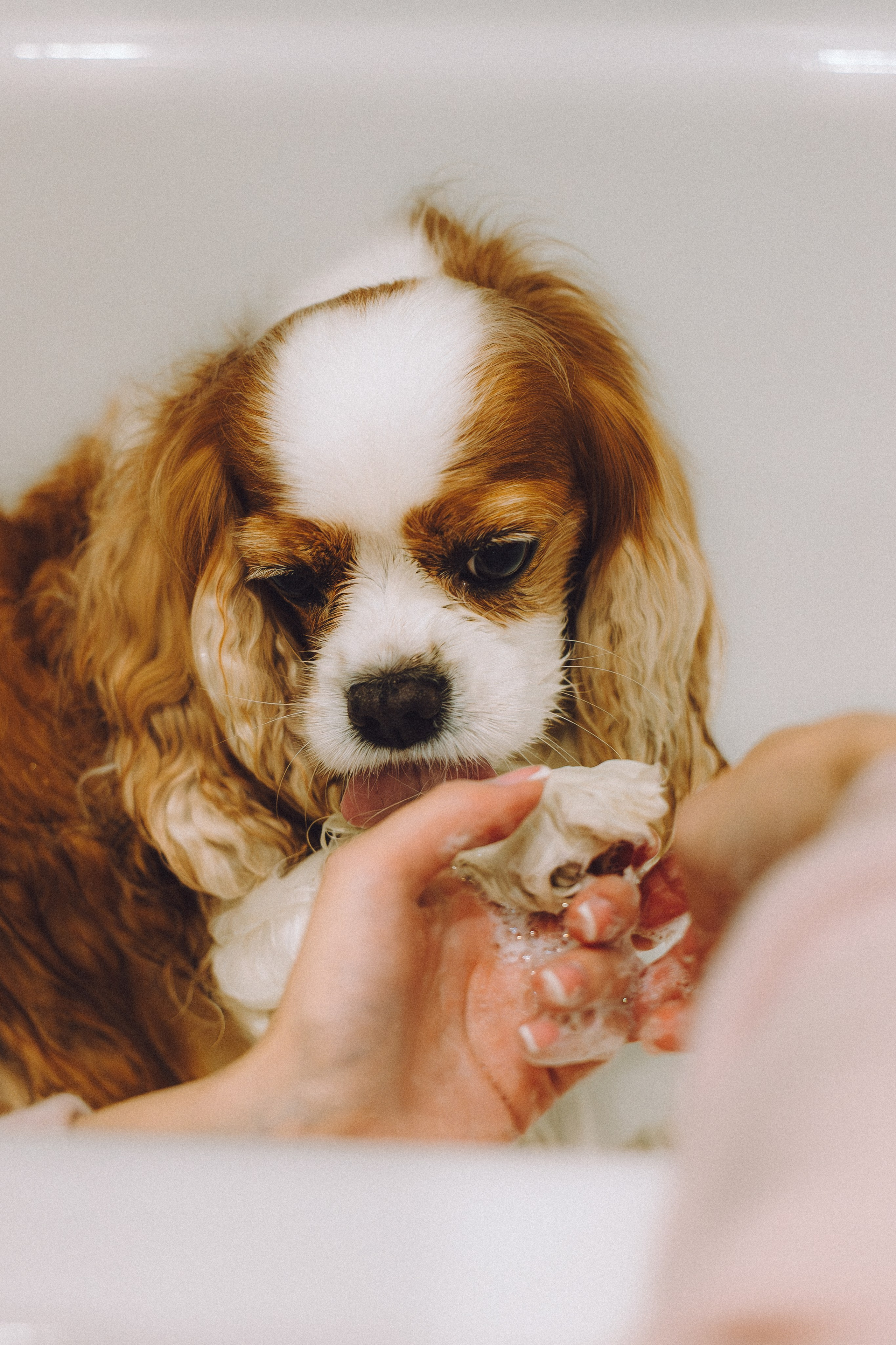 Наташа и Вики