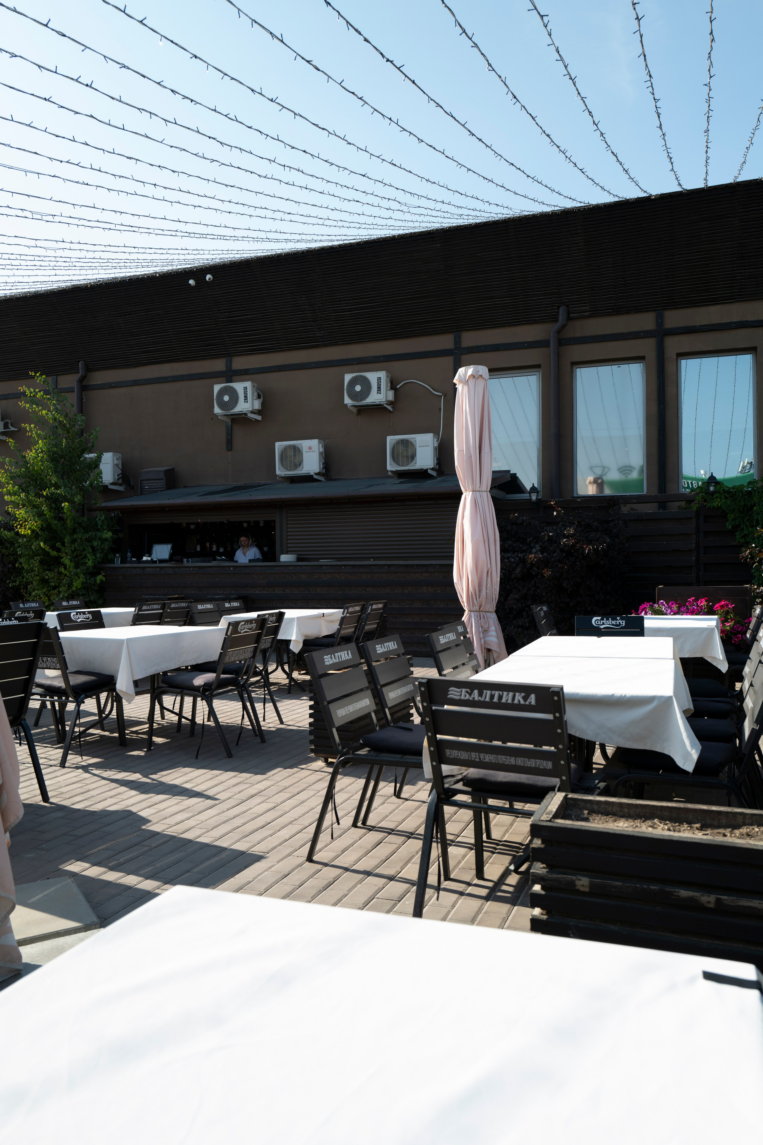 Рестораны. Maxon Magnusson