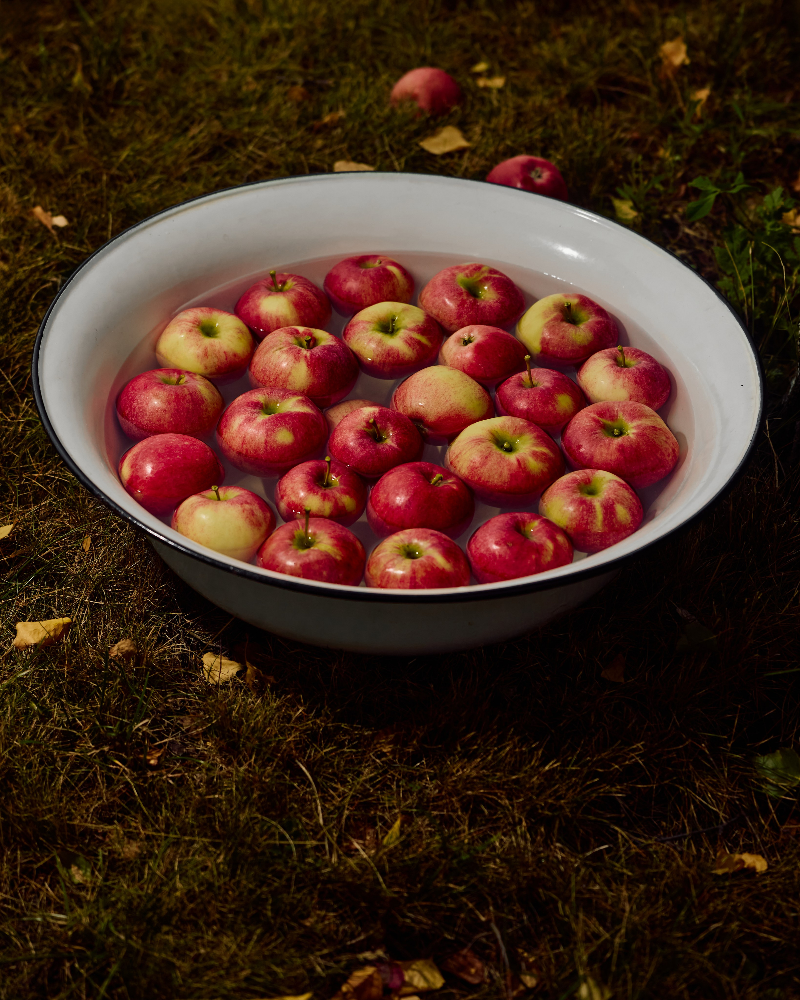 Собрано в саду. Святослав Лебедев | Рекламный фотограф — Коммерческая съемка, Арт-дирекшн, AI-интеграция