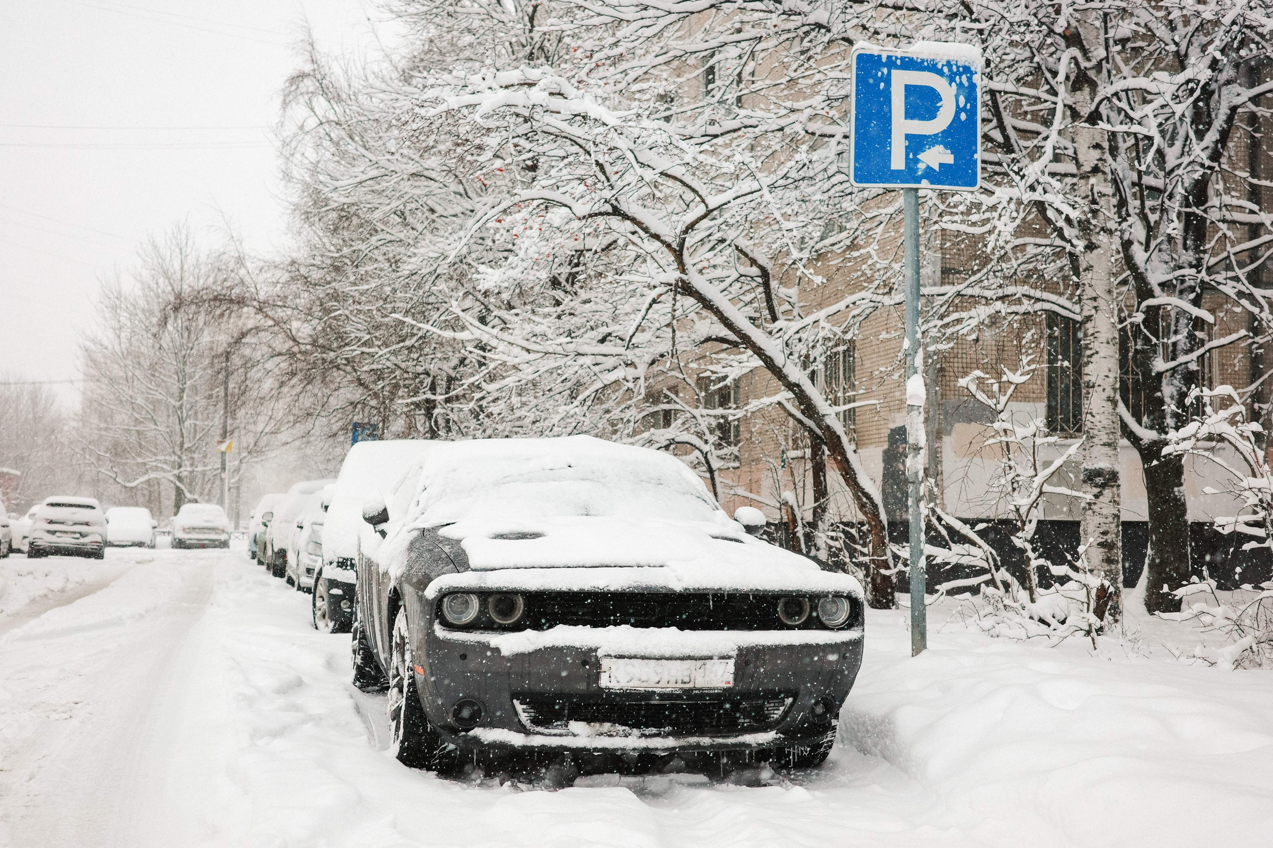 2025.01. Фотограф Алексей Алексеев