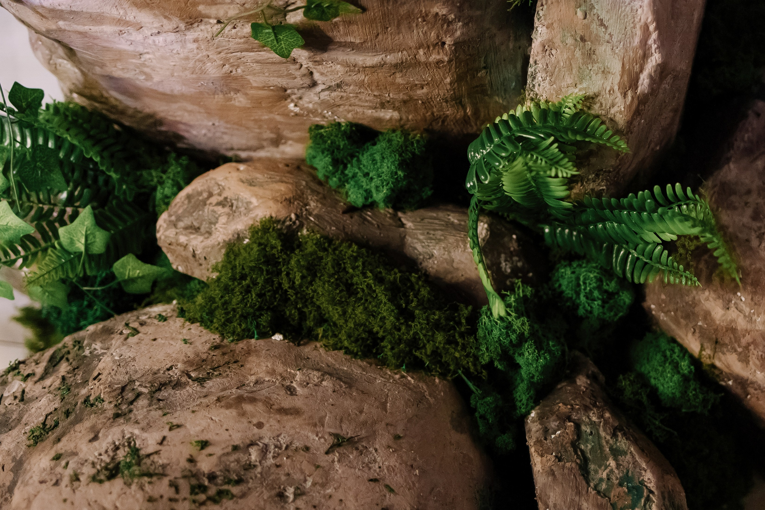 Шоу тортов 2. Свадебный фотограф