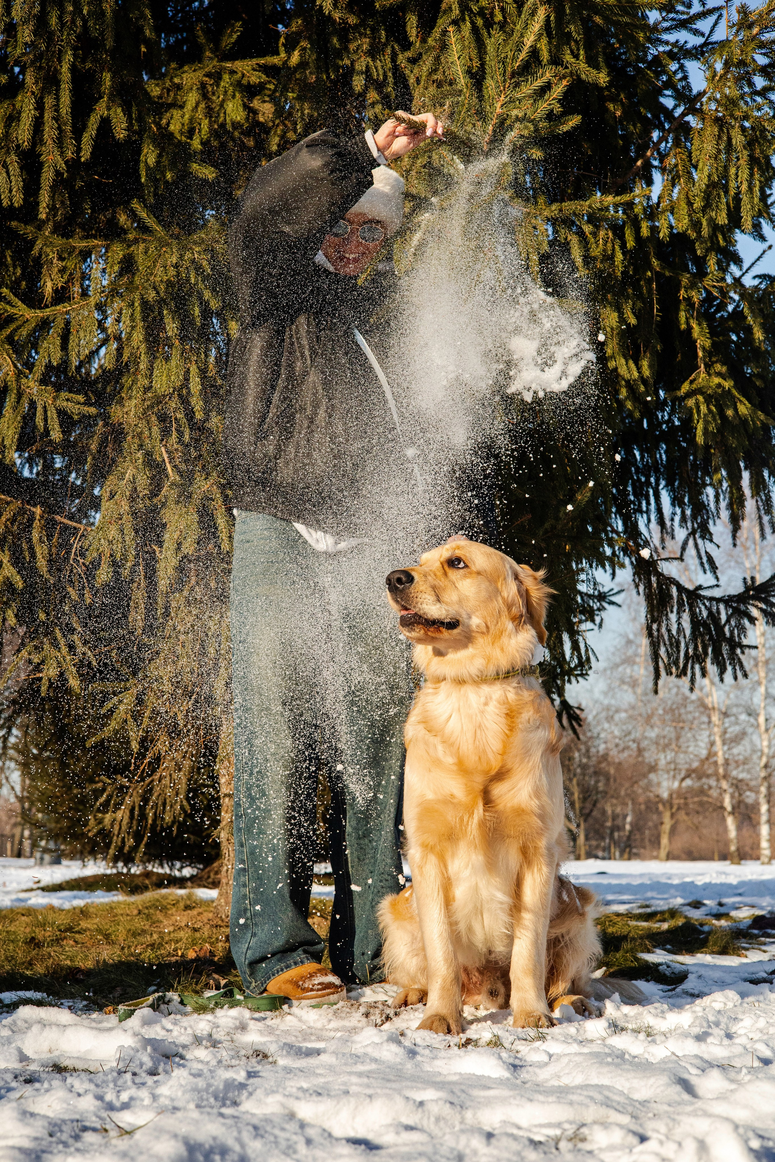 Ларри и его семья. Фотограф-анималист Ксения Шевцова|Москва