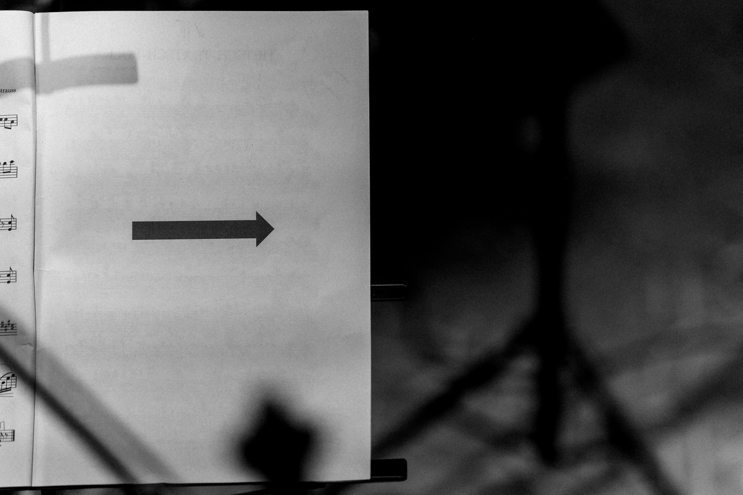 GREY CHIC. Свадебный и семейный фотограф Москва, Спб, Крым Игорь Сазонов