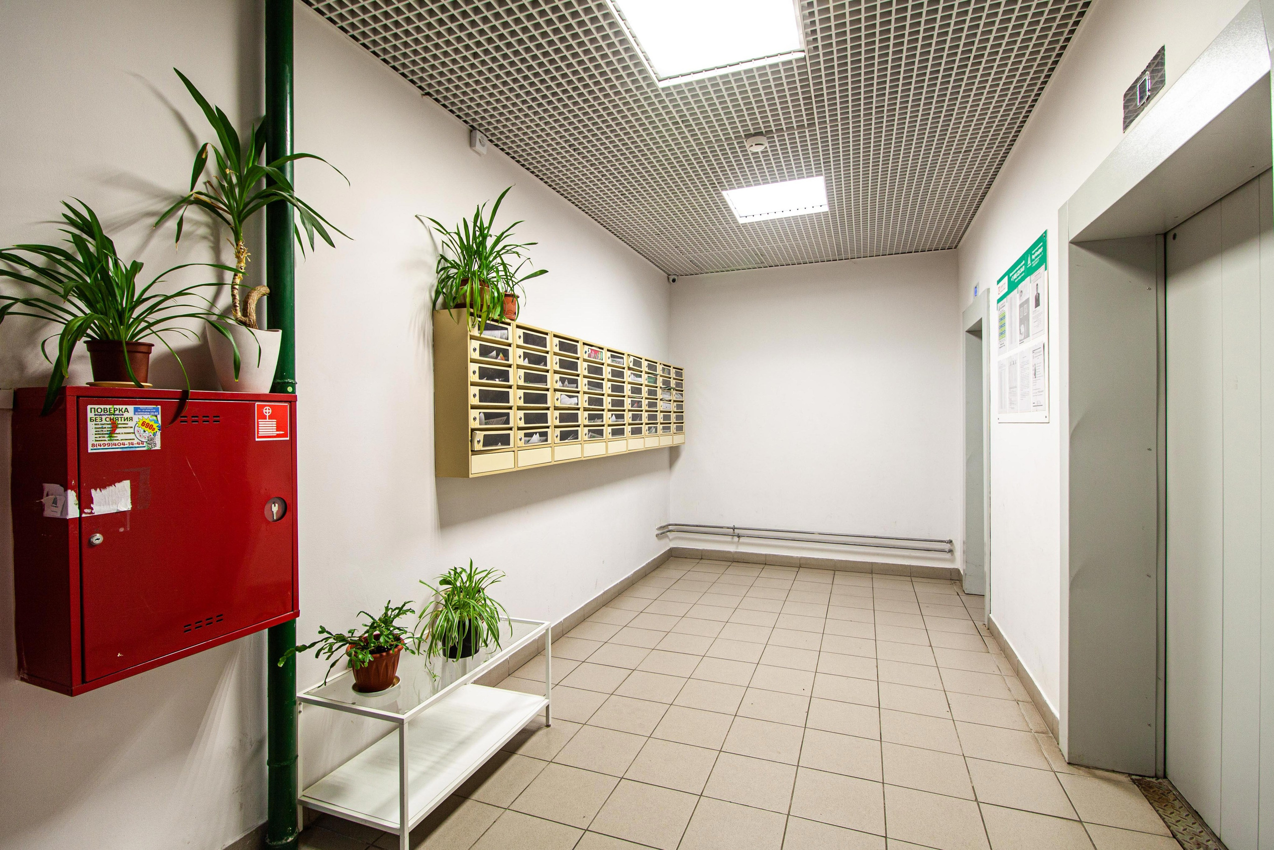 Фотосъемка для продажи или аренды недвижимости. Семейный детский фотограф Зульфия Сабирова Москва