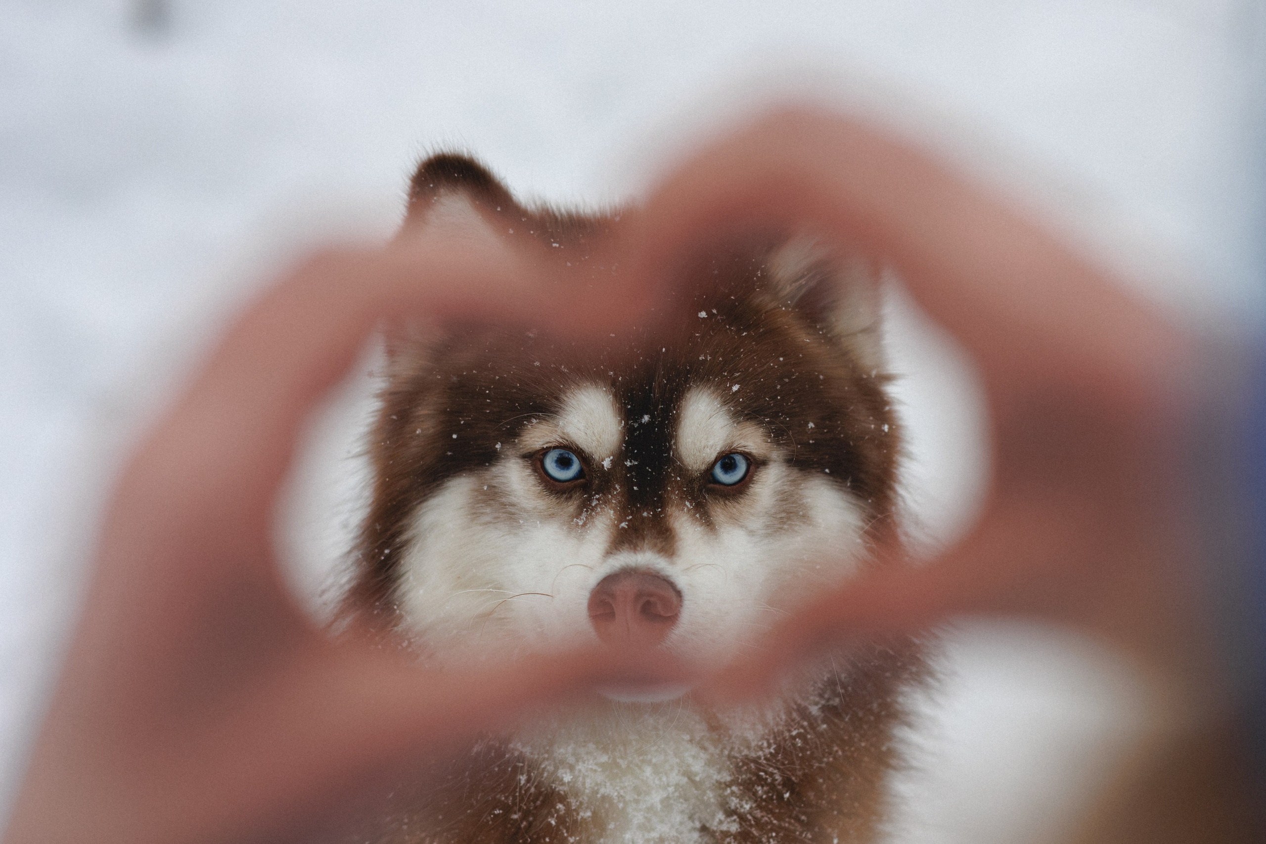 Полина и Миша. Фотограф в Санкт-Петербурге Алёна Губинская