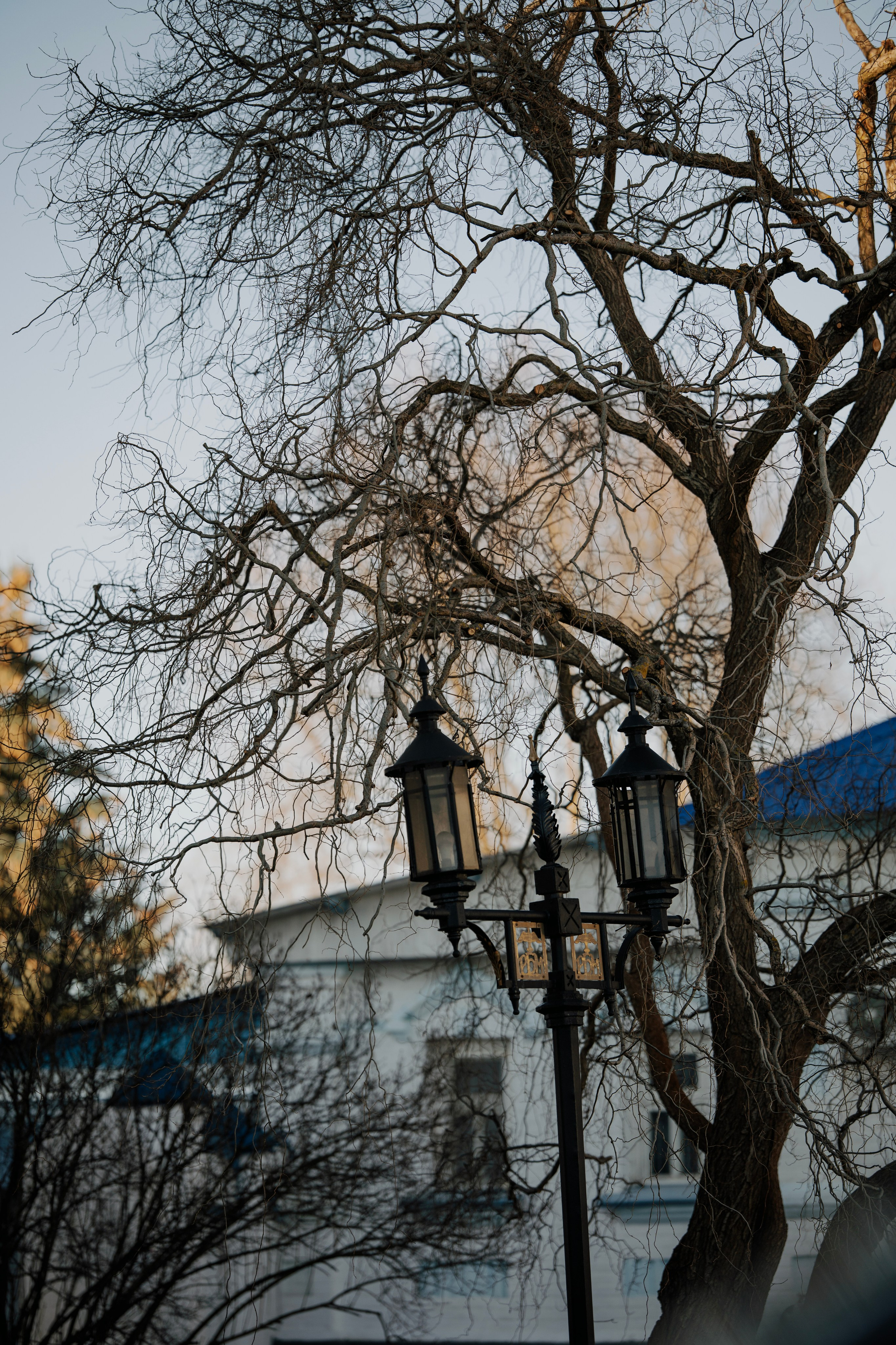 Street photo. Фотограф в Казани, и Зеленодольске Радик Мухаметов