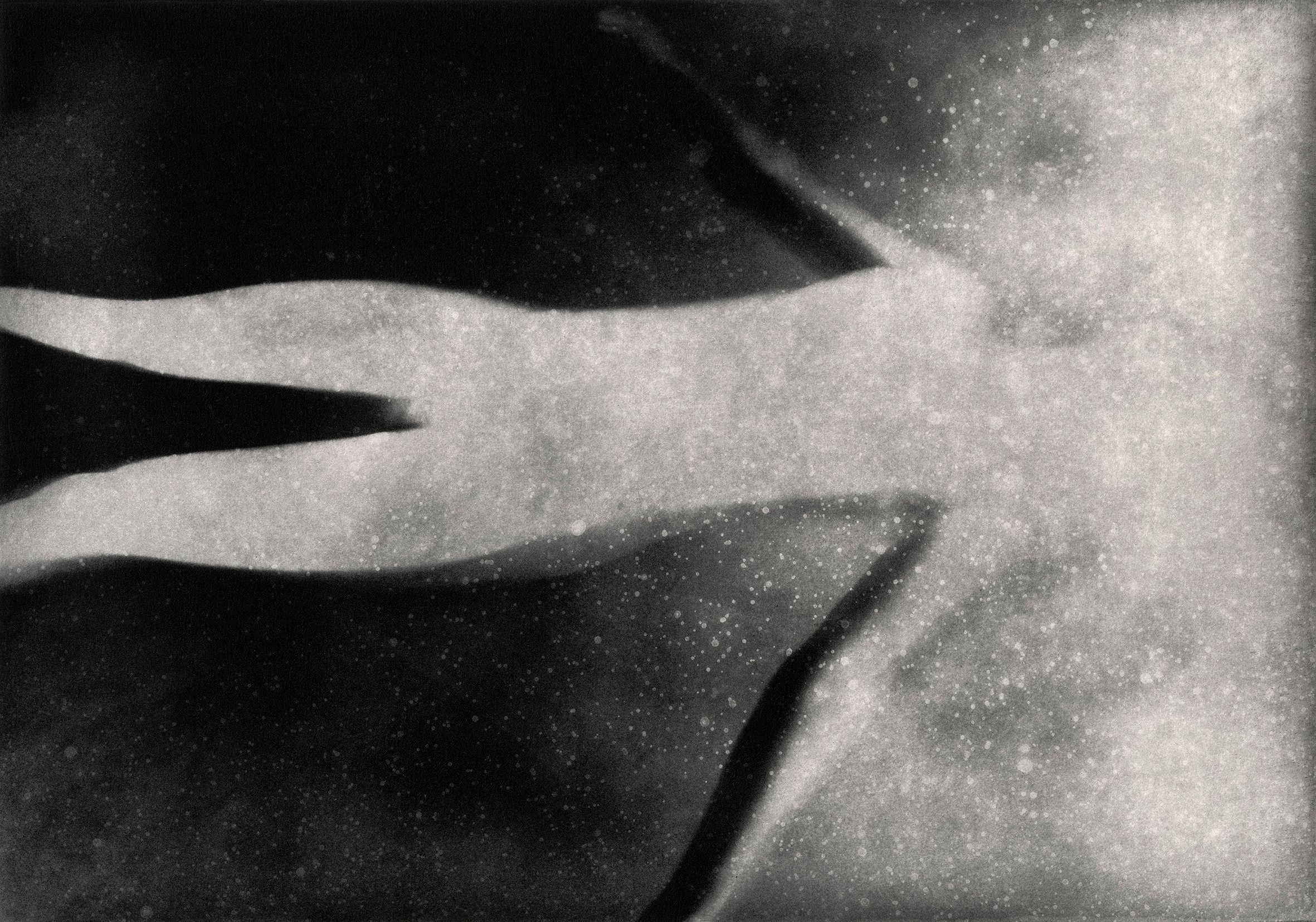 Проект «Black Cloud» Джули ван дер Ваарт. Private image