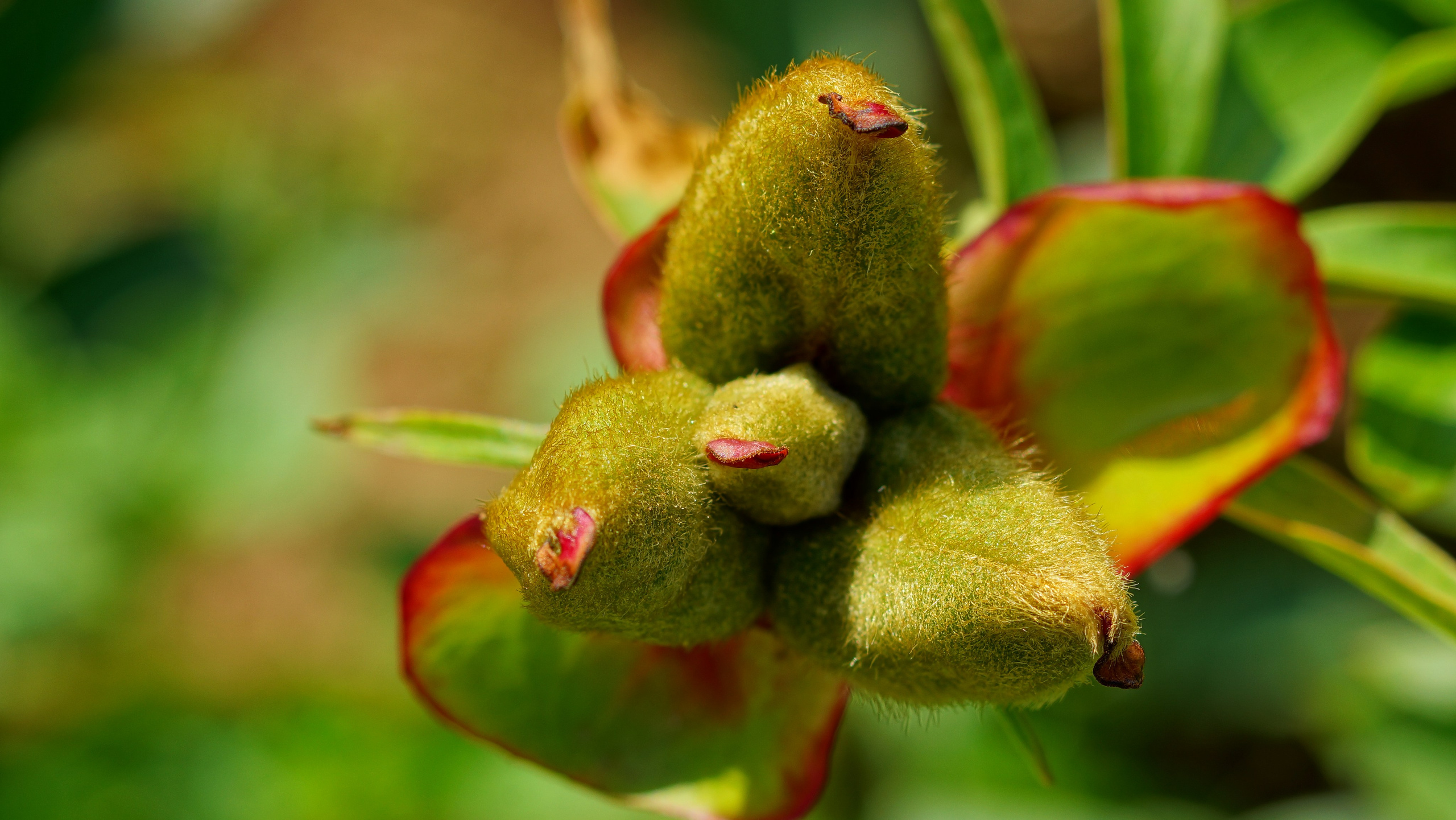 Макро. ZAGLADIN Bureau