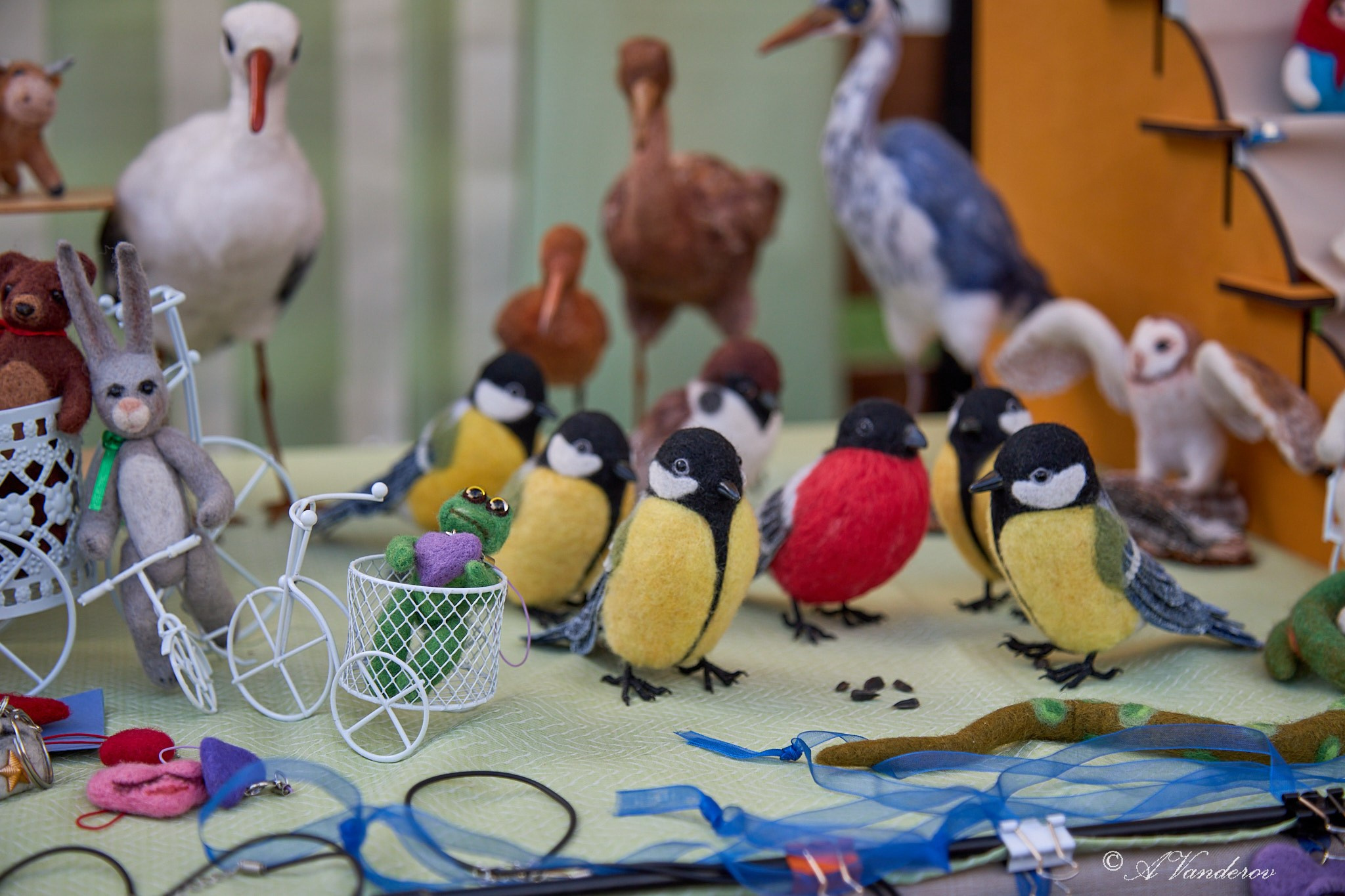 День города 2025. Фотограф Омск | Александр Вандеров