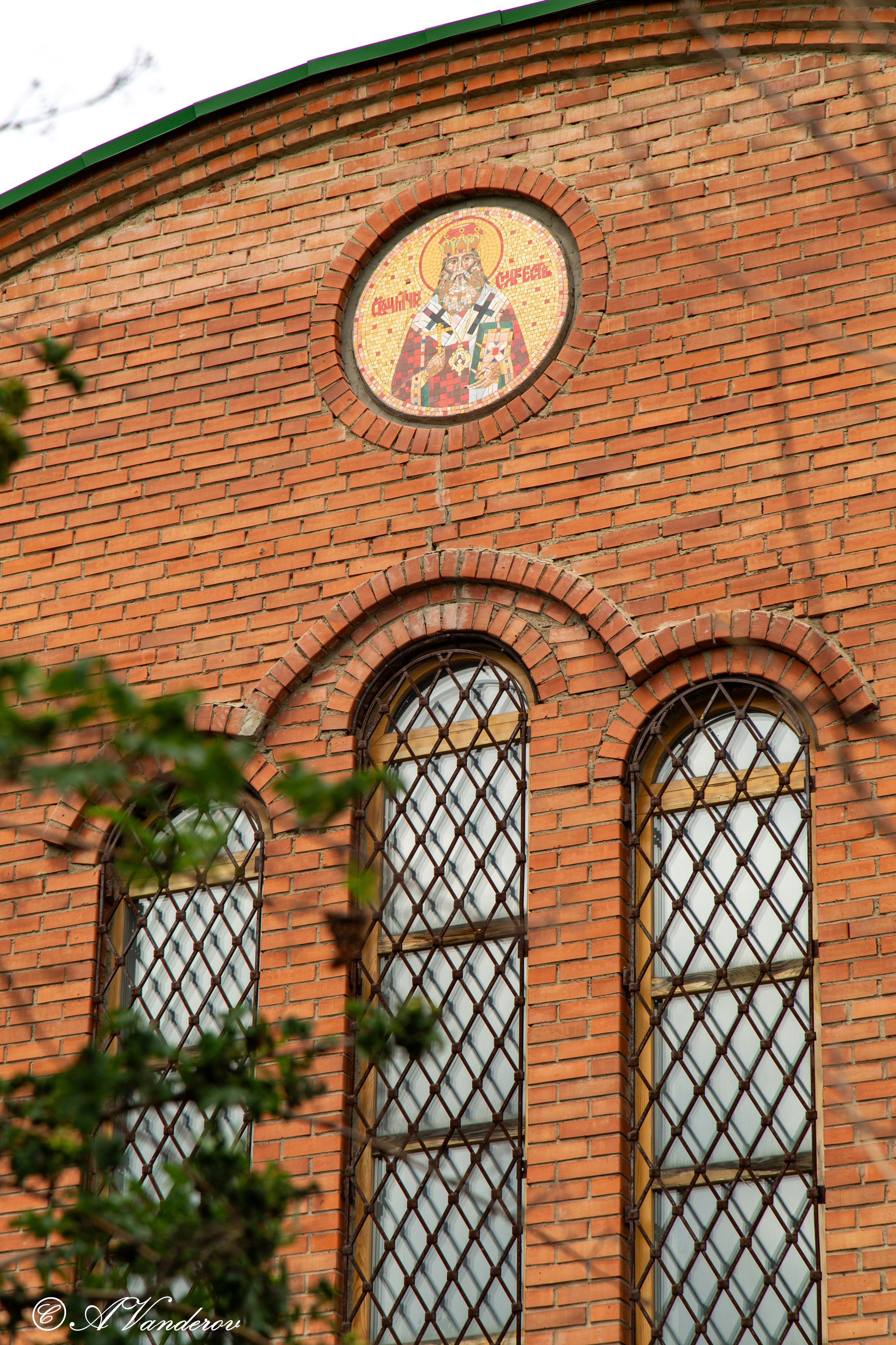 Калачинск 07.07.2024. Фотограф Омск | Александр Вандеров