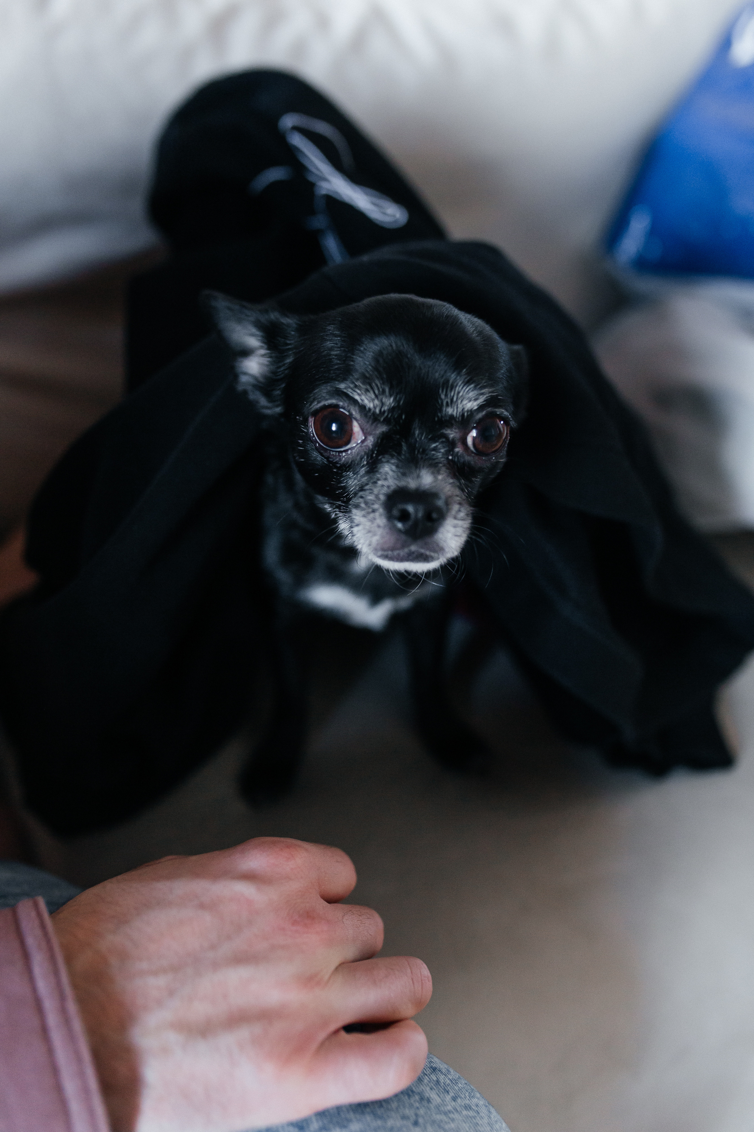 Екатерина и Алексей. Свадебный фотограф в Екатеринбурге Грибанова Екатерина