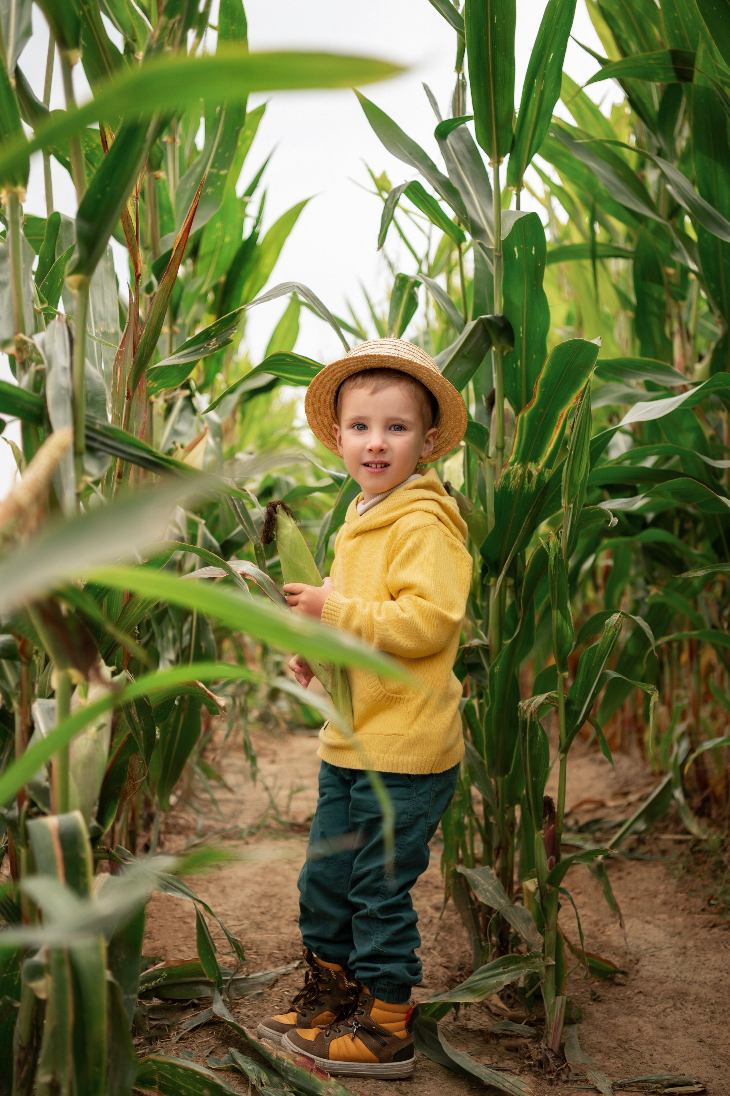 Фотосессия в кукурузе. Детский и семейный фотограф г. Москва Оксана Катаджи