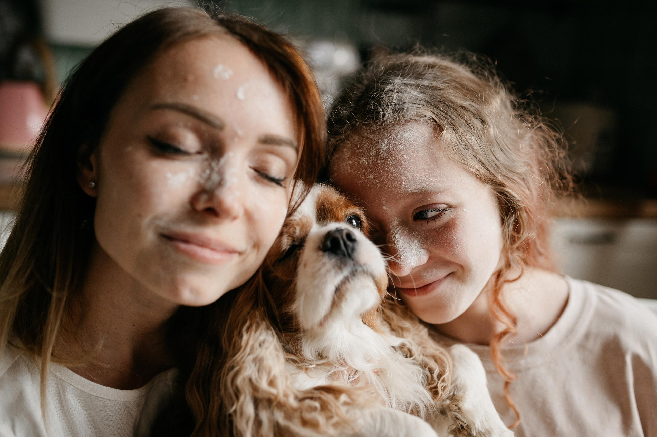 Даша, Диана, Дебби и маленькая крыска. Фотограф анималист в Москве Ольга Агушева