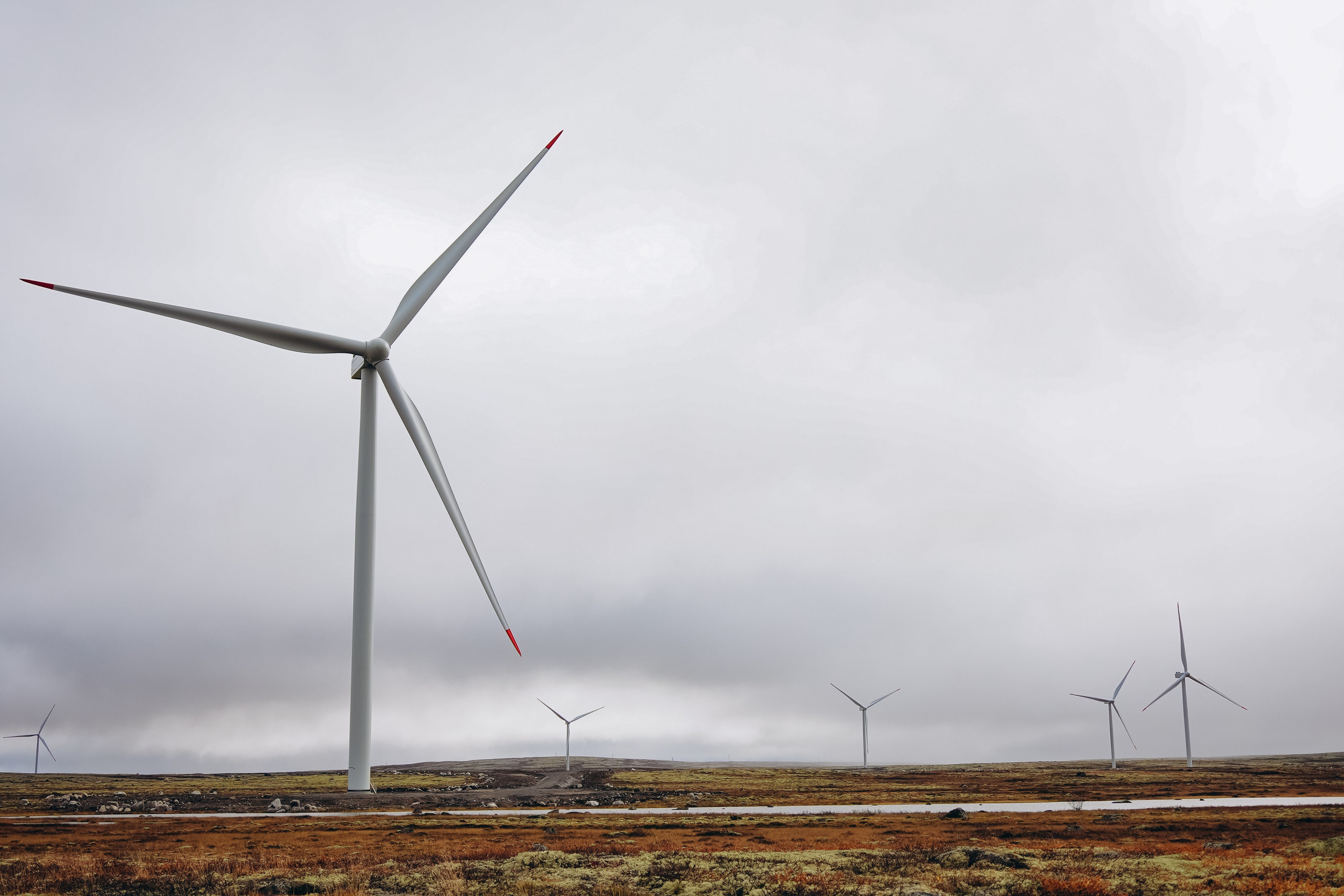 СЕВЕР. Event фотограф Степанова Александра