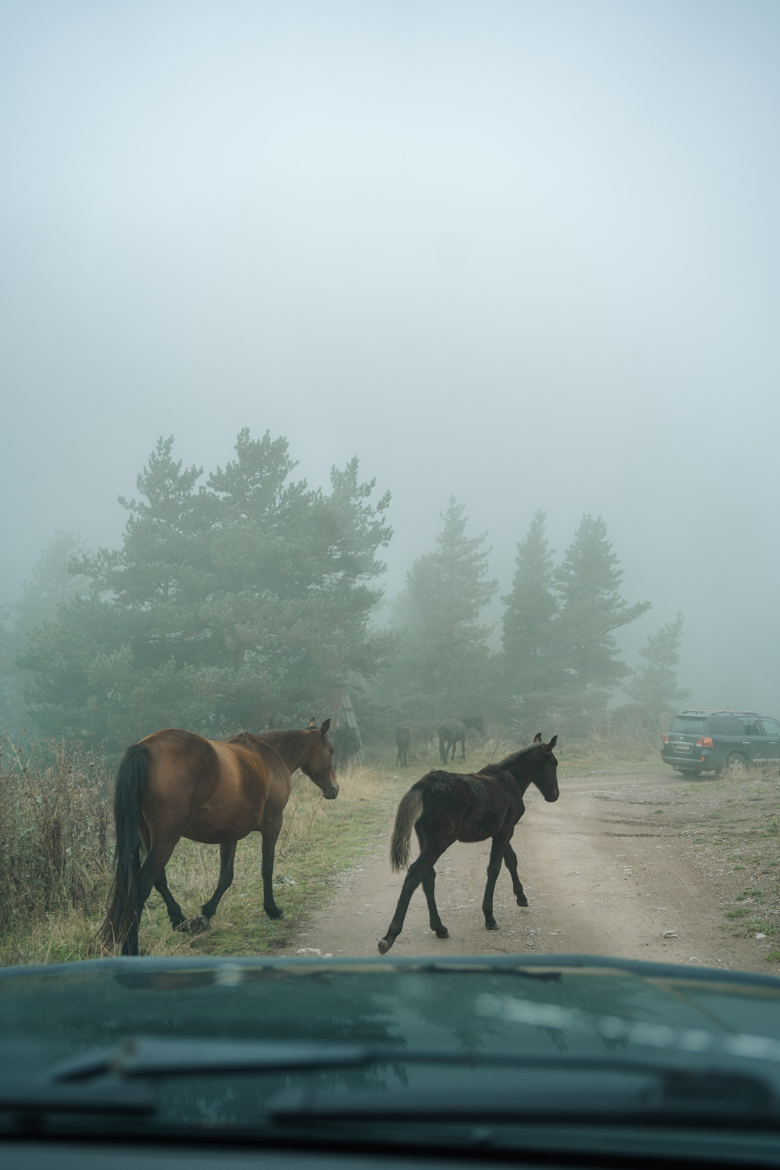 Фото сопровождение туров. Фотограф в Ростове-на-Дону и по всему миру Веникова Ольга