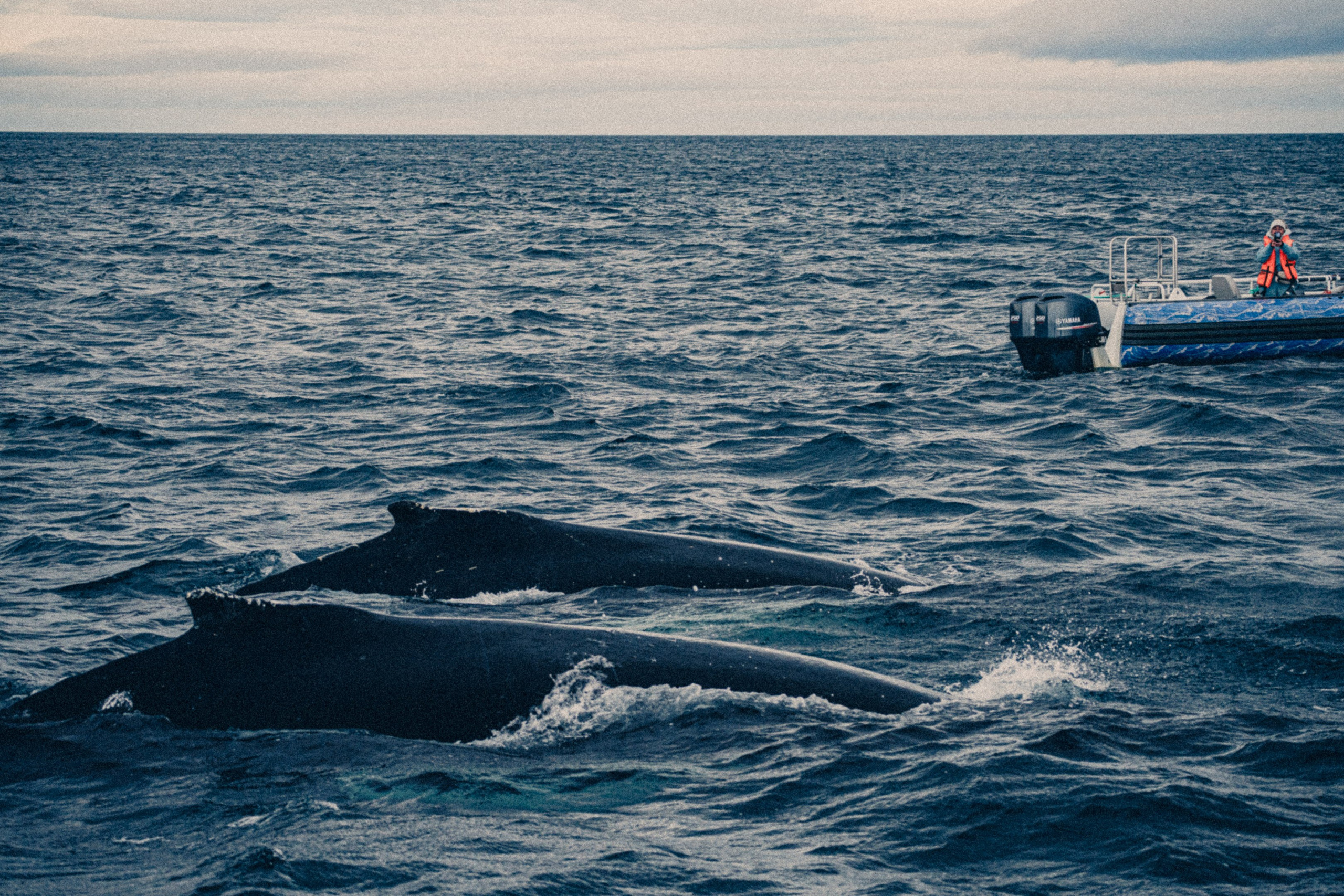 Северное Море. Фотограф * Вячеслав Скоробогатов * Визульный Артист