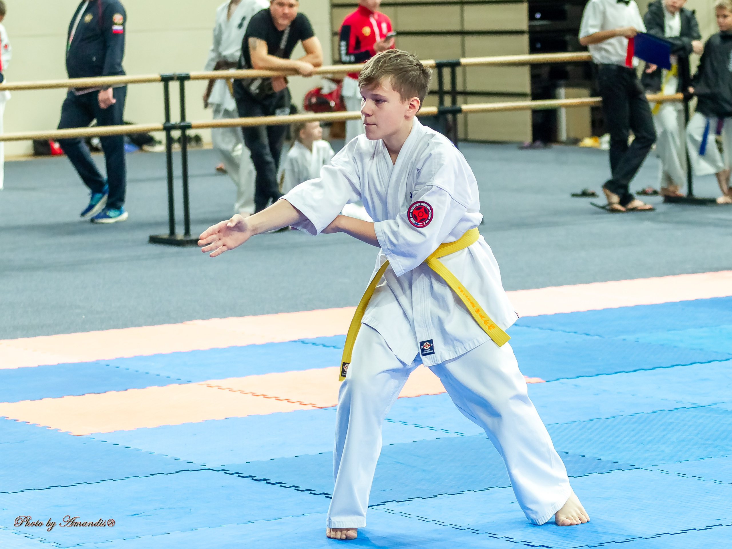 Первенство Московской области по Киокушин в СК «Жаворонки». Репортажная съемка в Москве и области. Анималистика