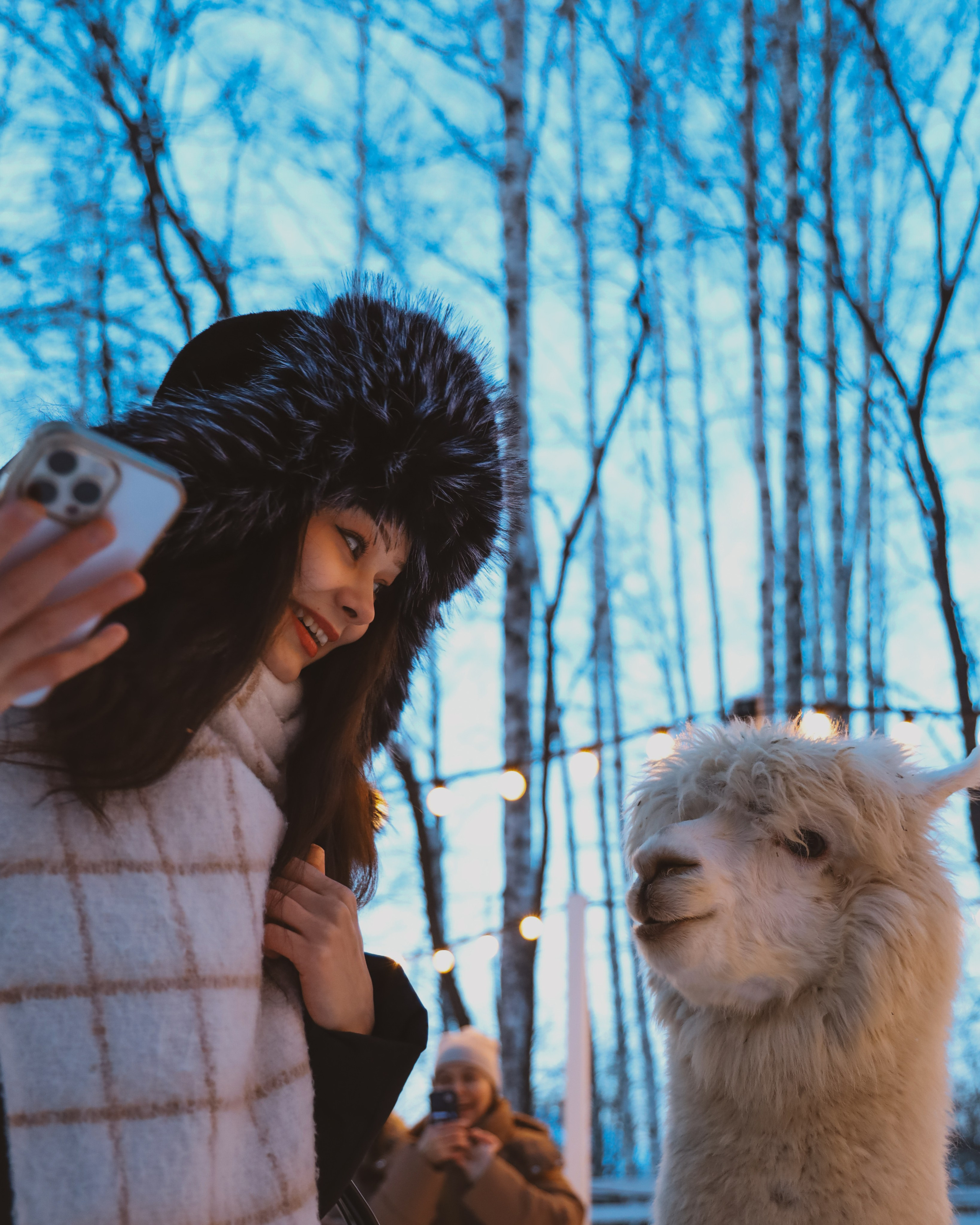 Alpaca park. Фотограф/дизайнер в Екатеринбурге Хитрый Дмитрий