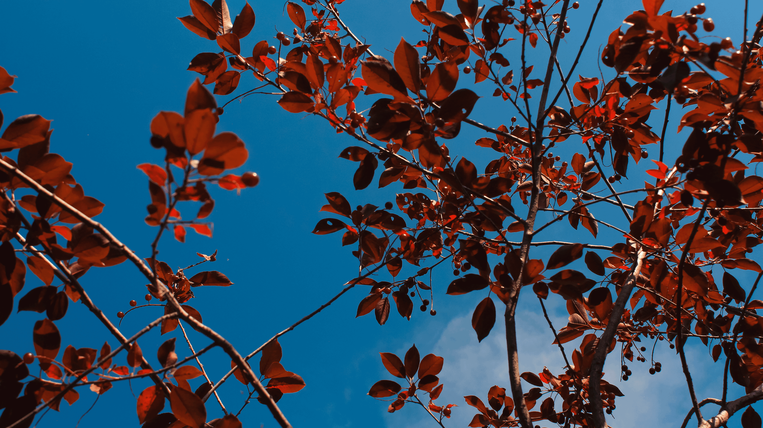 TMN ivapark '24. Фотограф/дизайнер в Екатеринбурге Хитрый Дмитрий