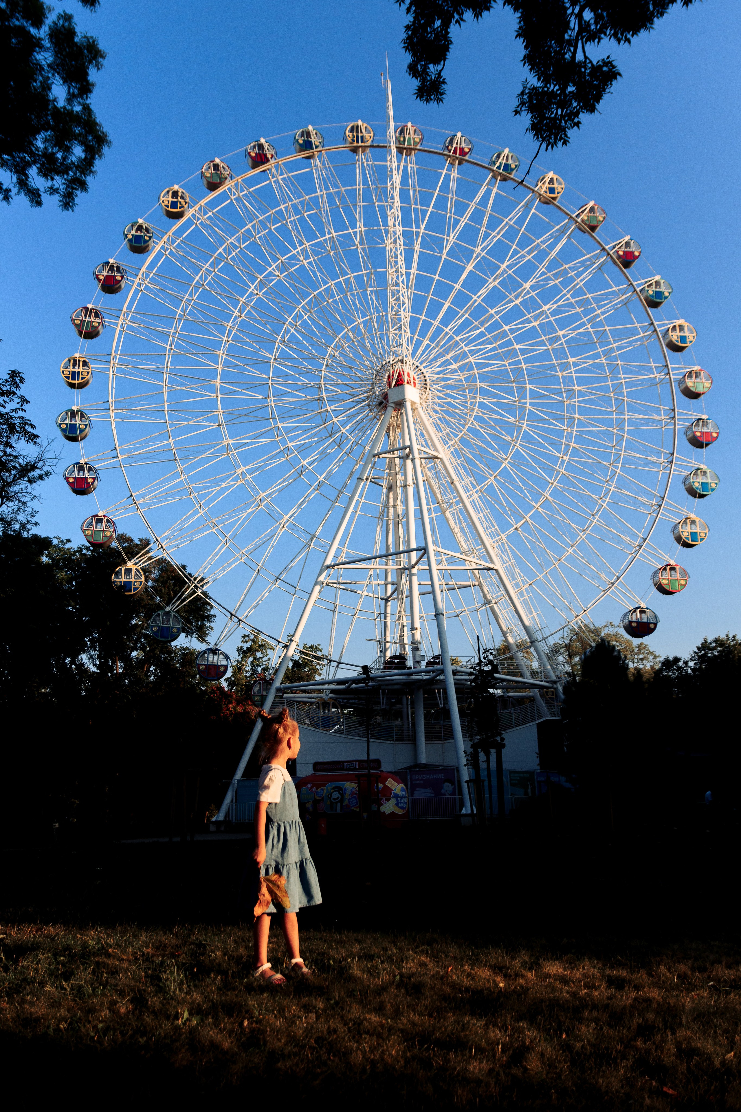 Солнечный день. Фотограф в Краснодаре Ксения Мархинина