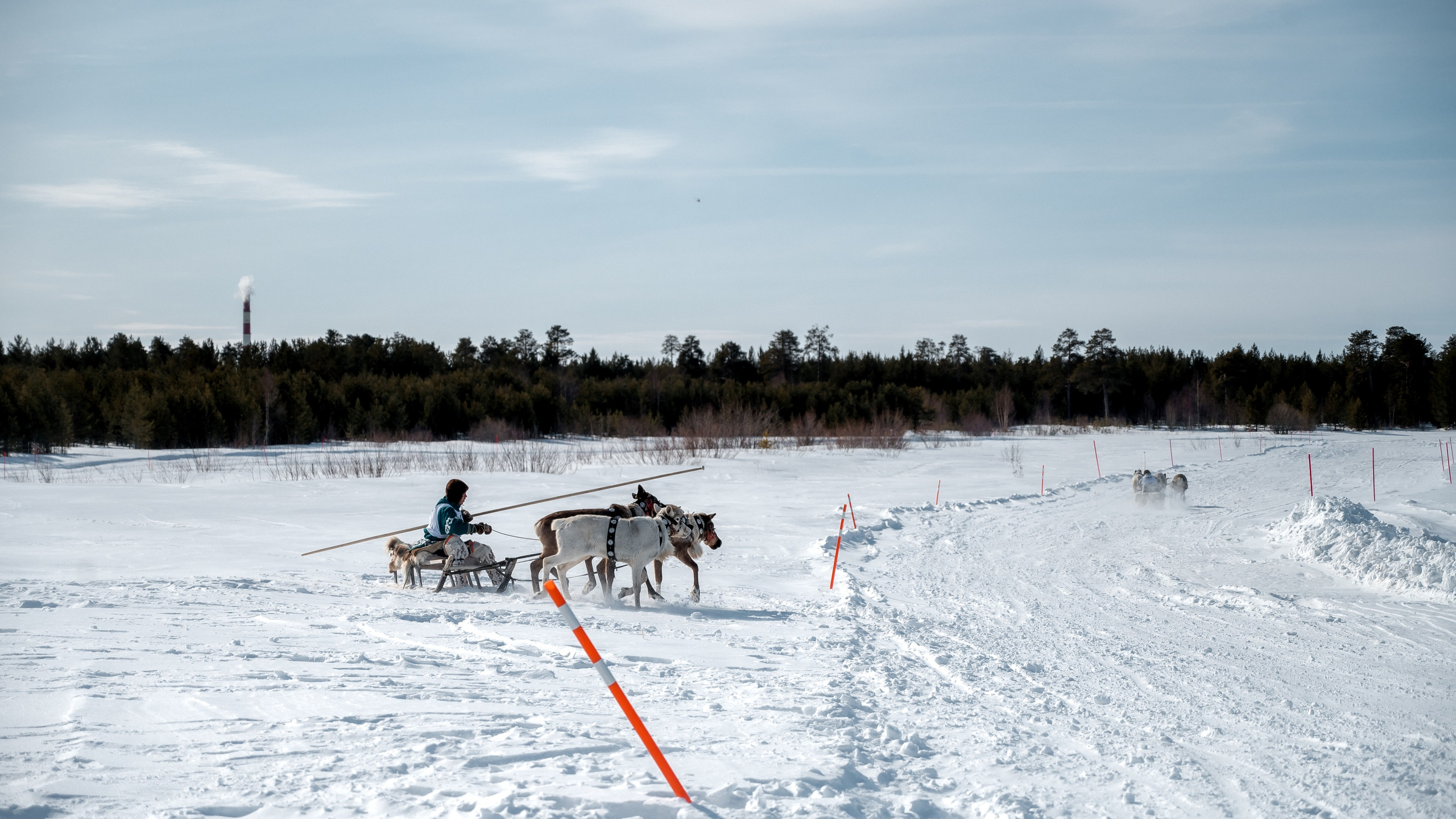 День оленевода г. Когалым. Фотограф Нижний Новгород