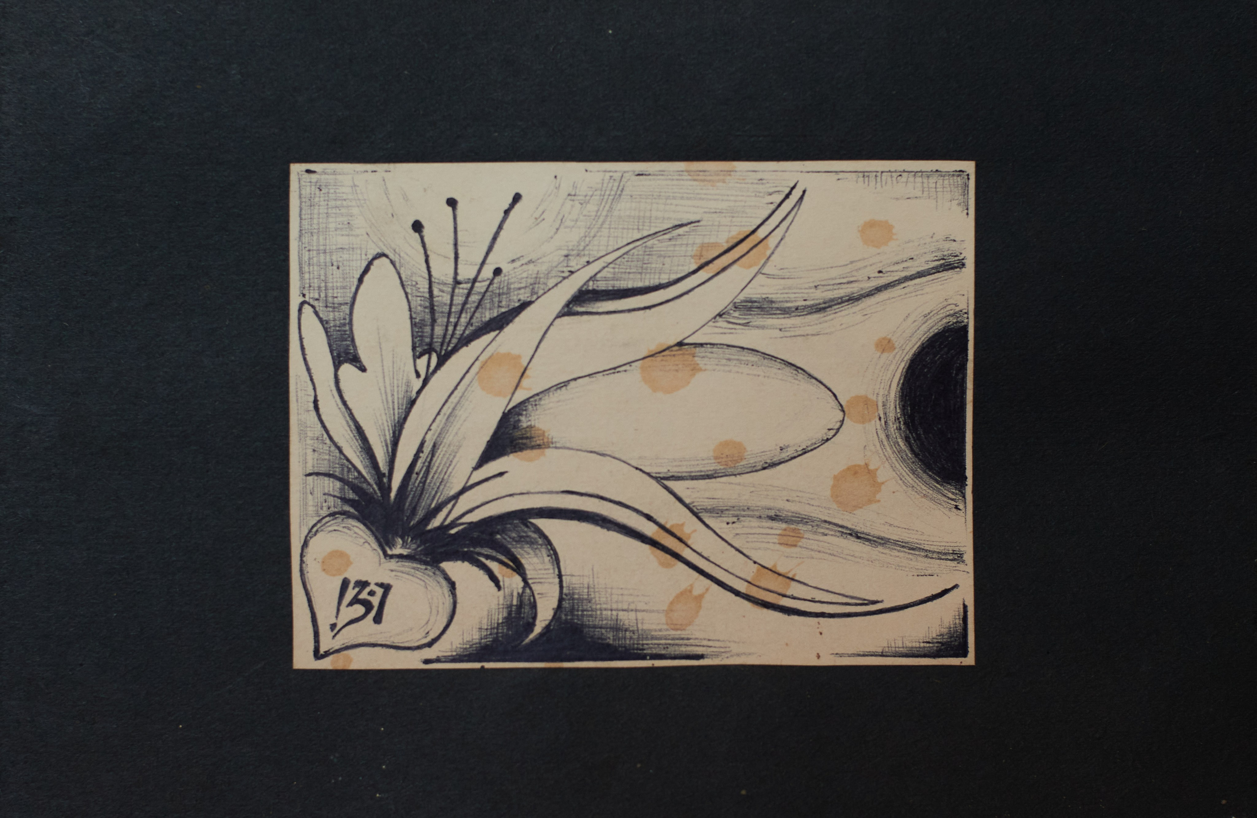 Модули. Olitron Legacy