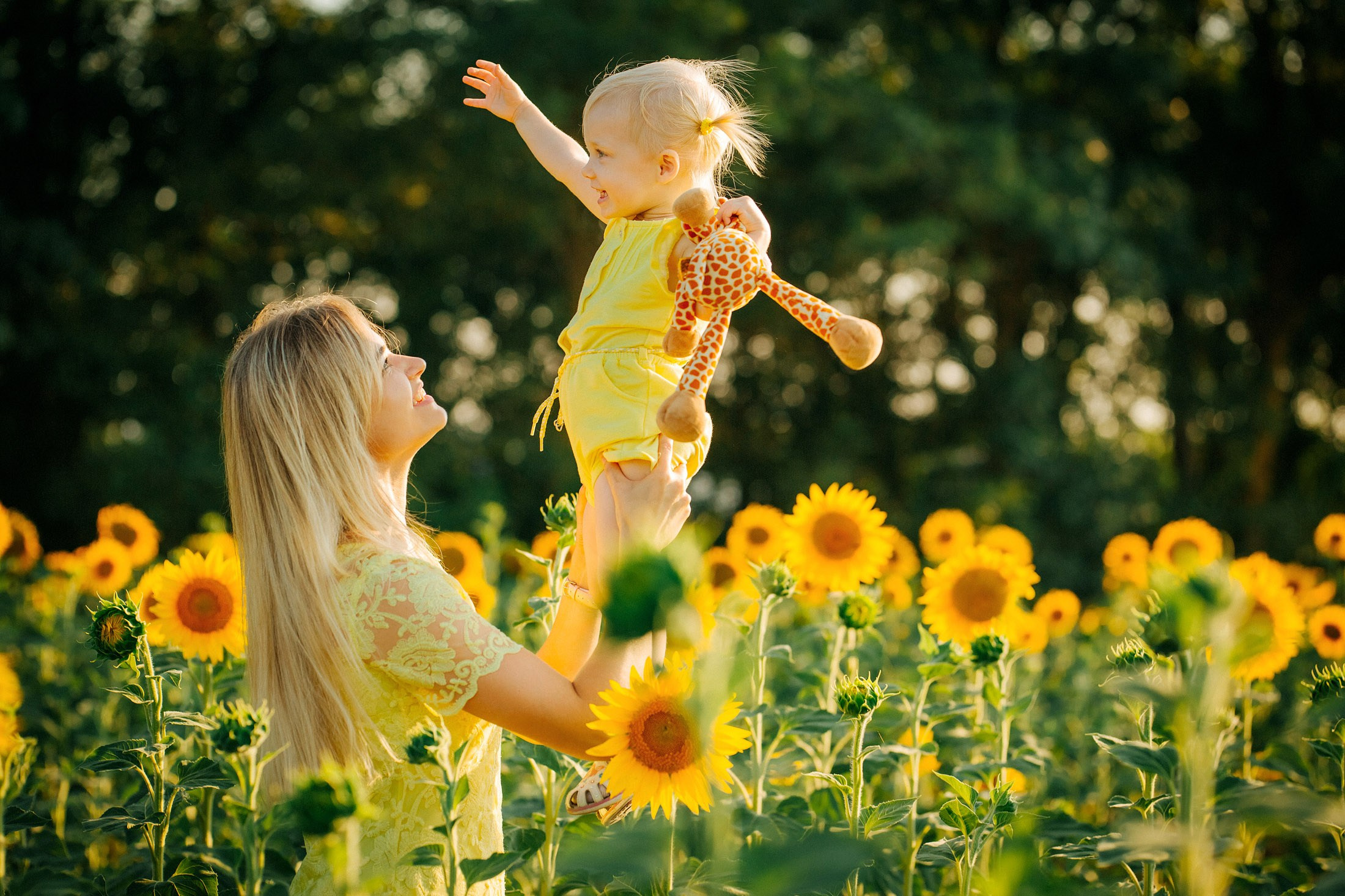 Подсолнухи!. Семейный, детский, свадебный, фотограф в городе Анапа